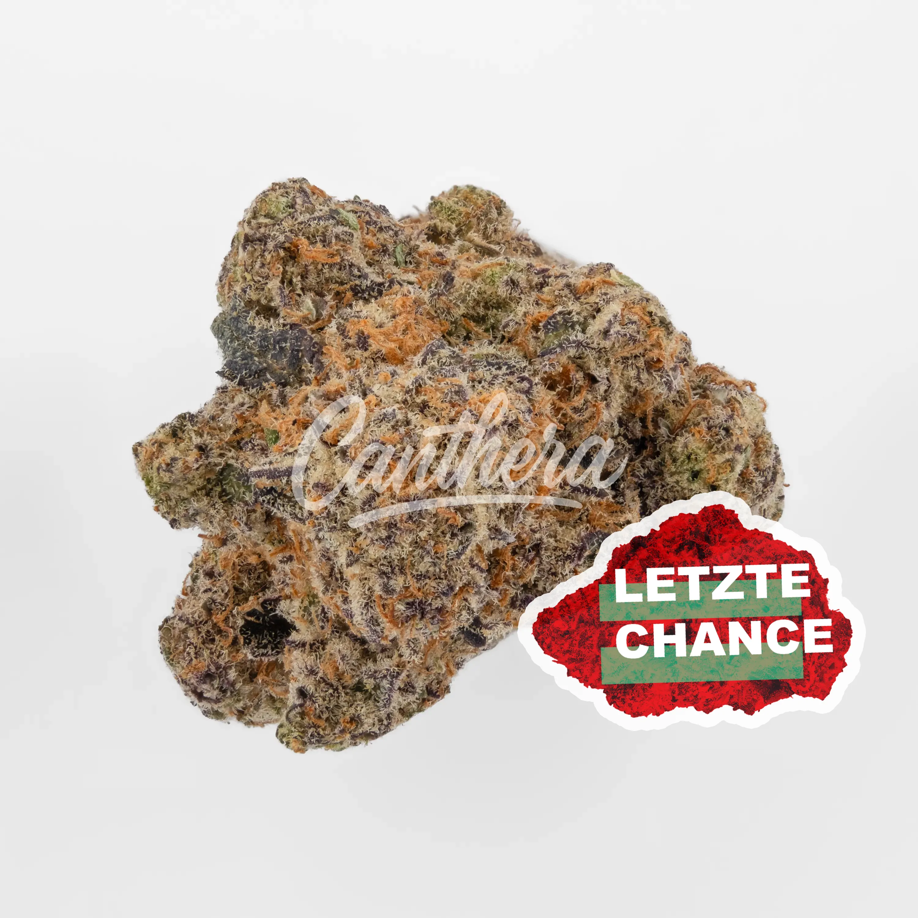 420 Evolution 27/1 CA MMI- Miracle Mint