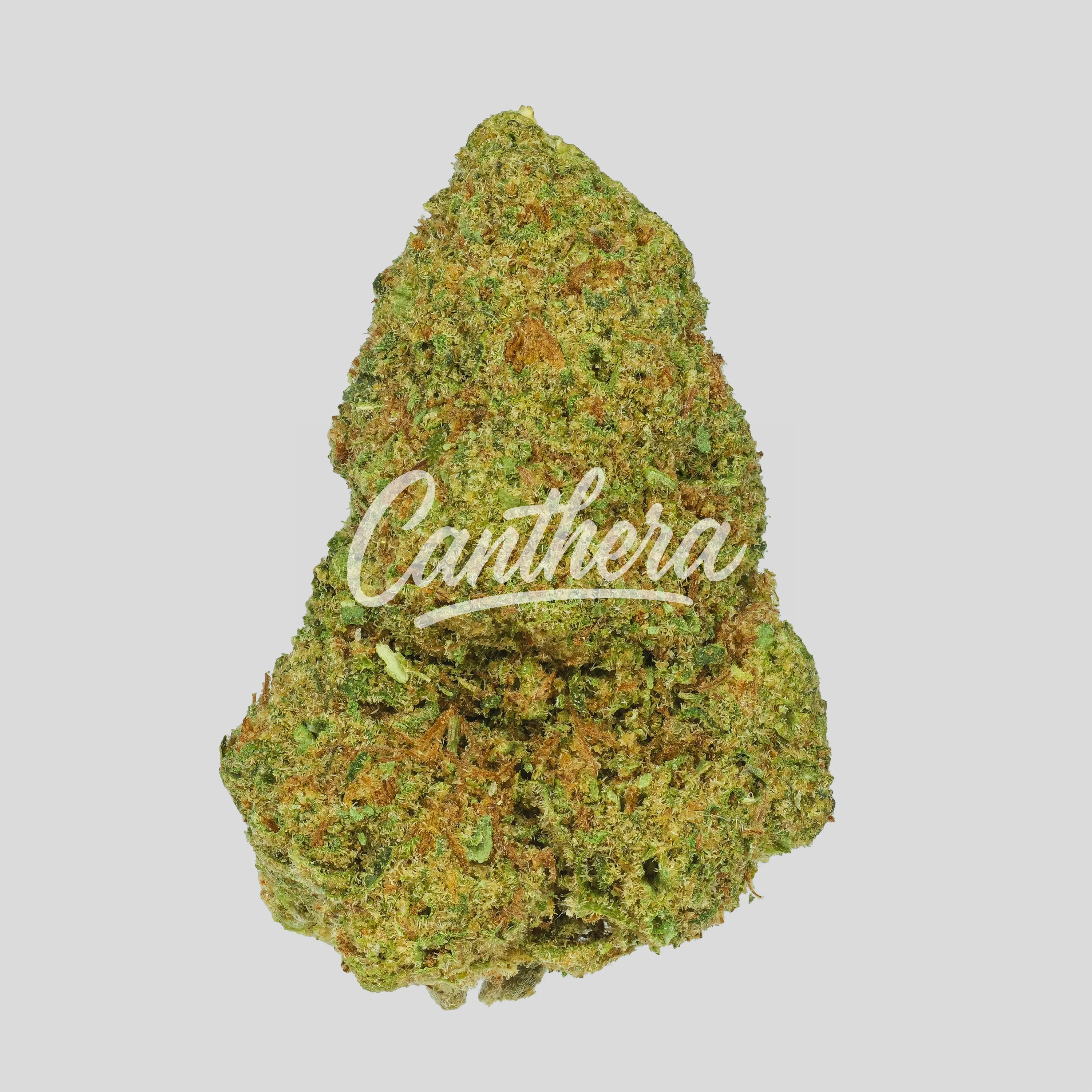 NOC KS 23/1 - KO x Sherbet Shocker