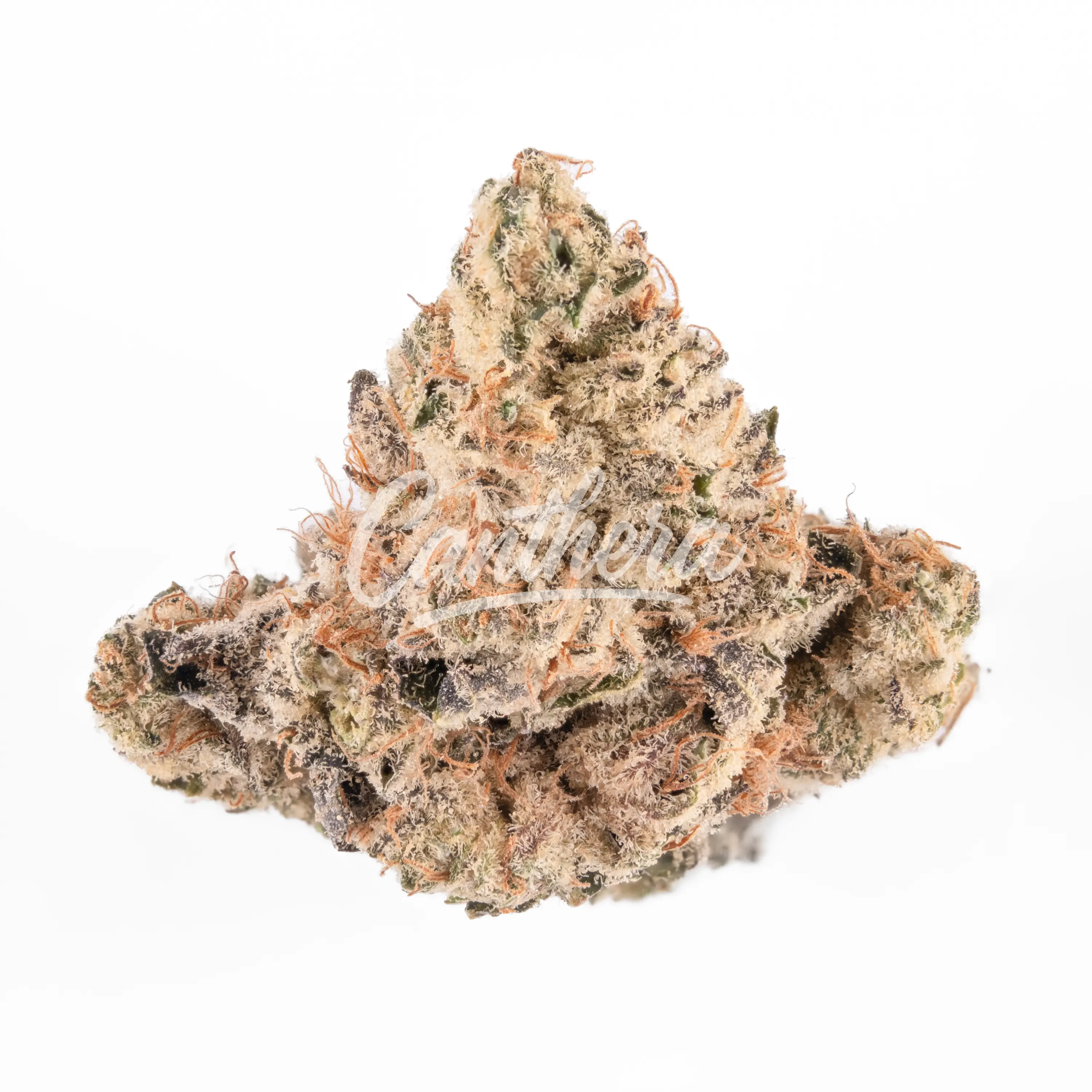 enua 20/1 CDG CA - Crispy Doughnut