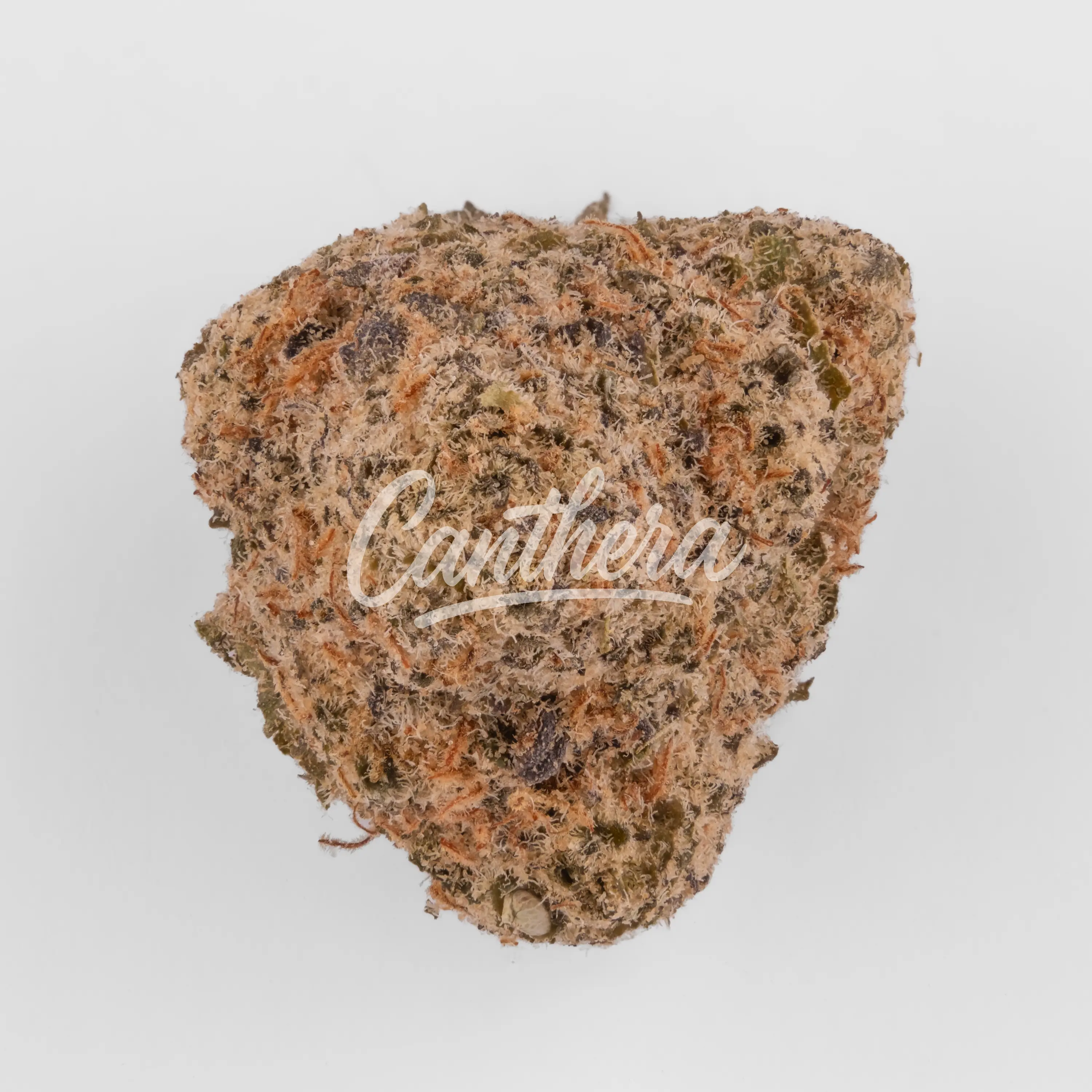 Nahaufnahme einer medizinischen Cannabisblüte