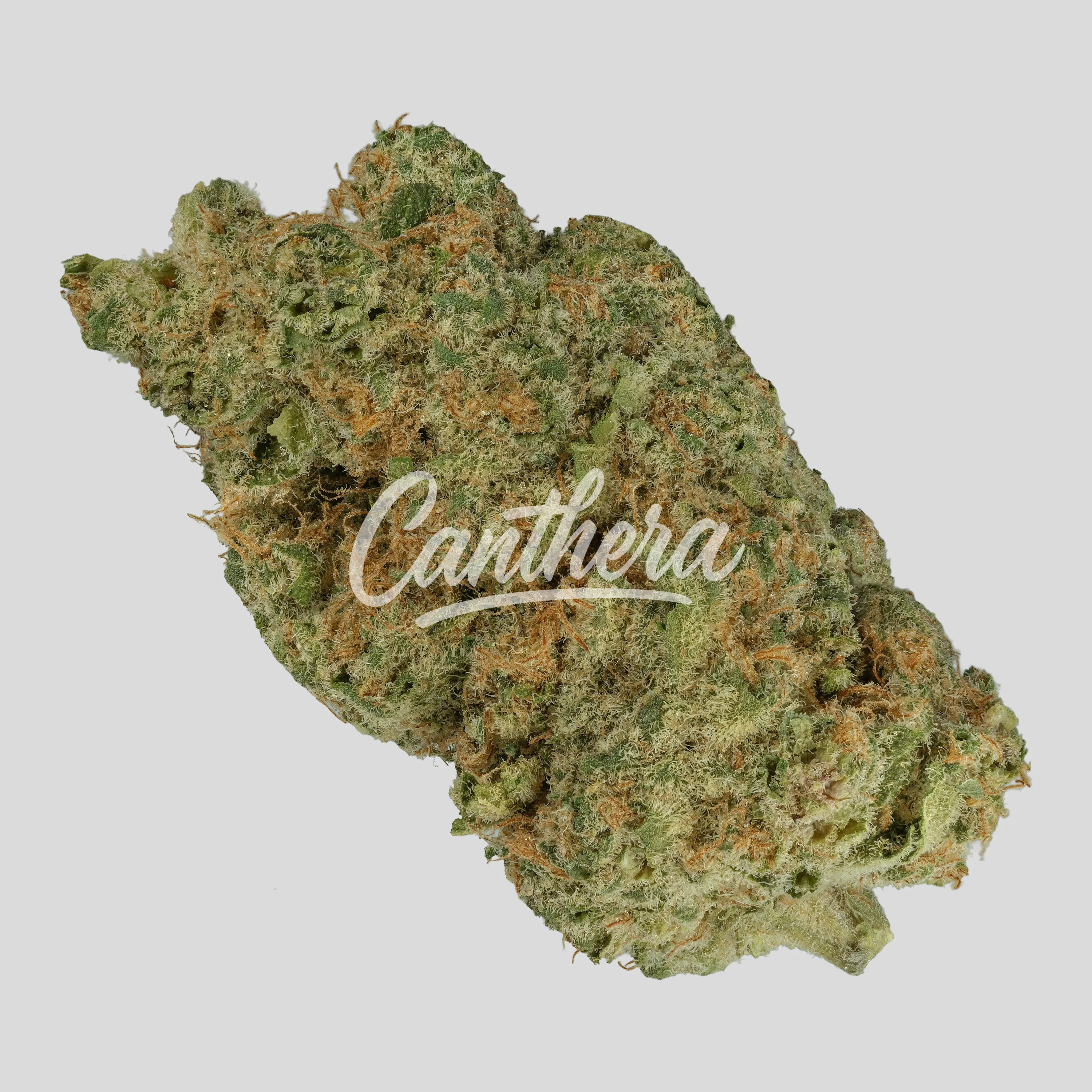 187 Cannabisflower FPB THC25 - Forbidden Punch