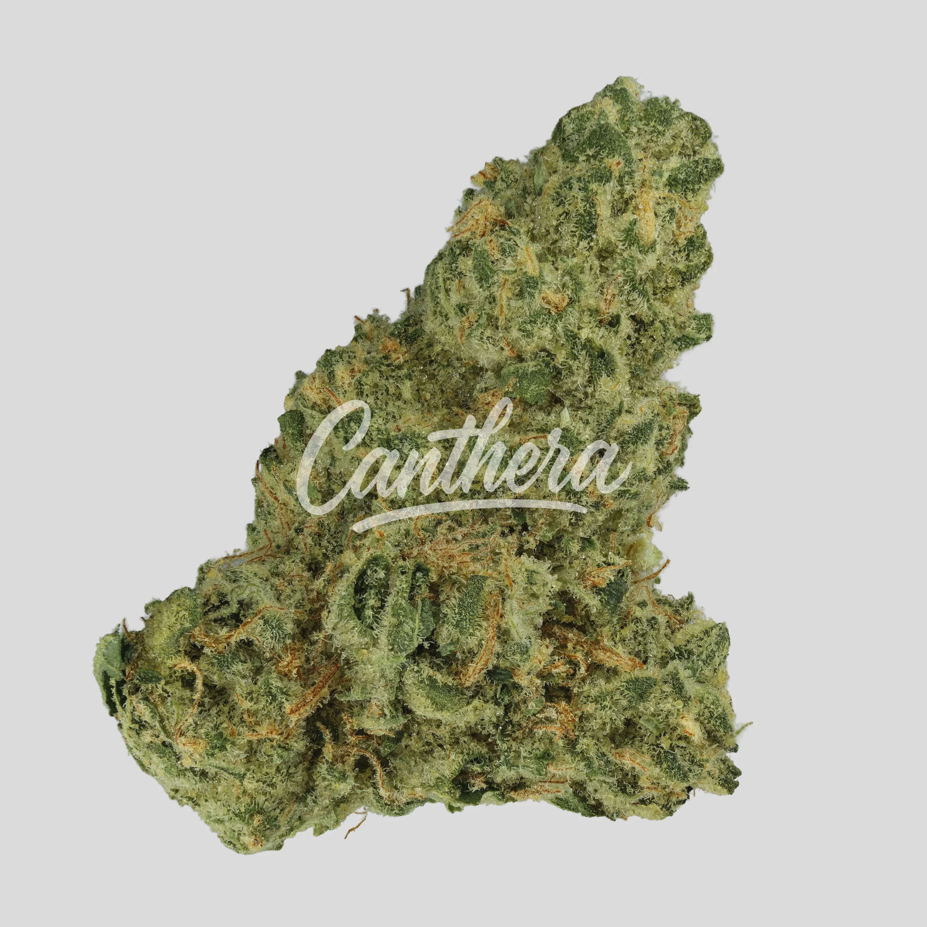 Demecan GT Strong Drop 27/1 Minis- Girl Scout Kush Demecan GT Strong Drop 27/1 Minis- Girl Scout Kush