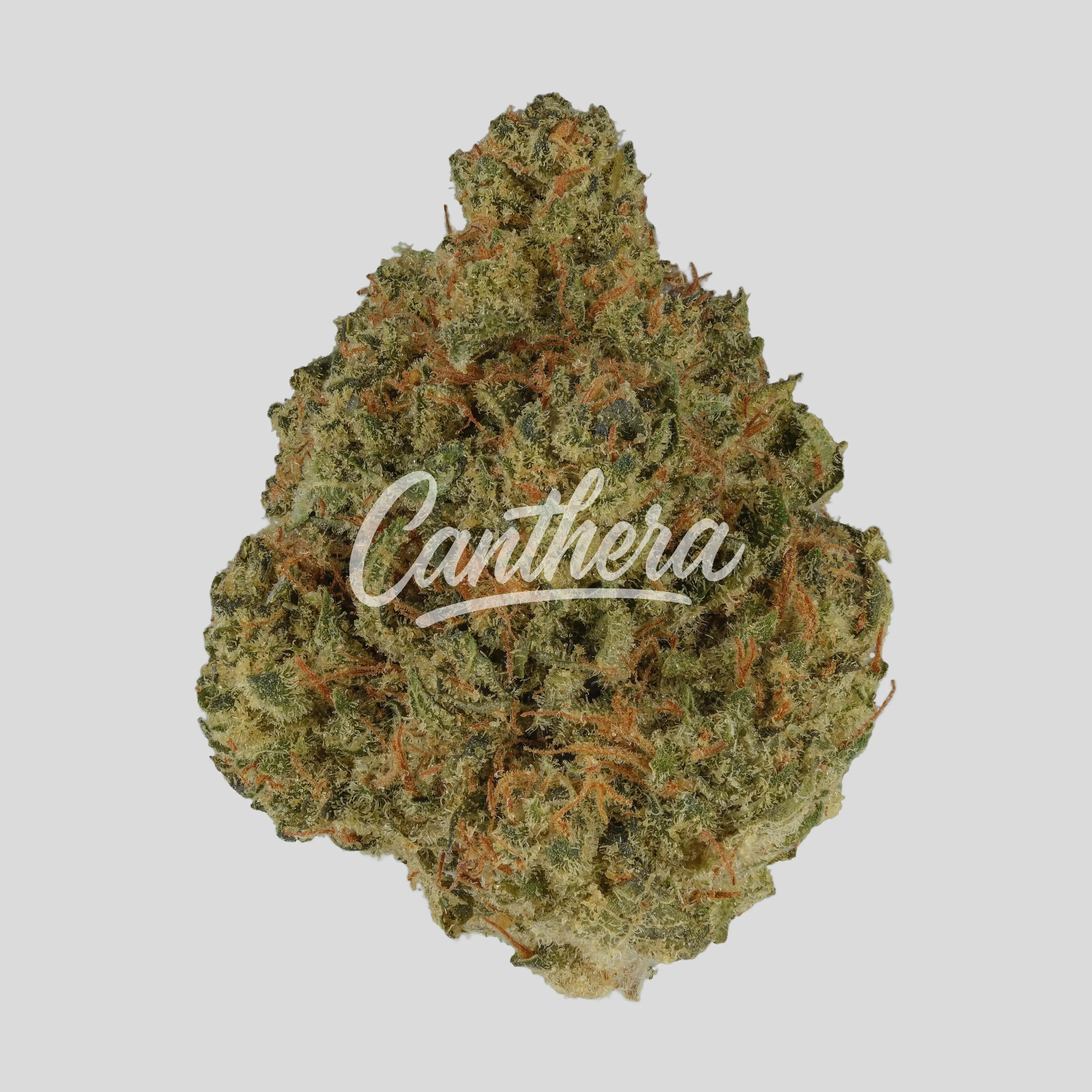 ZOIKS 22/1 - Space Rider