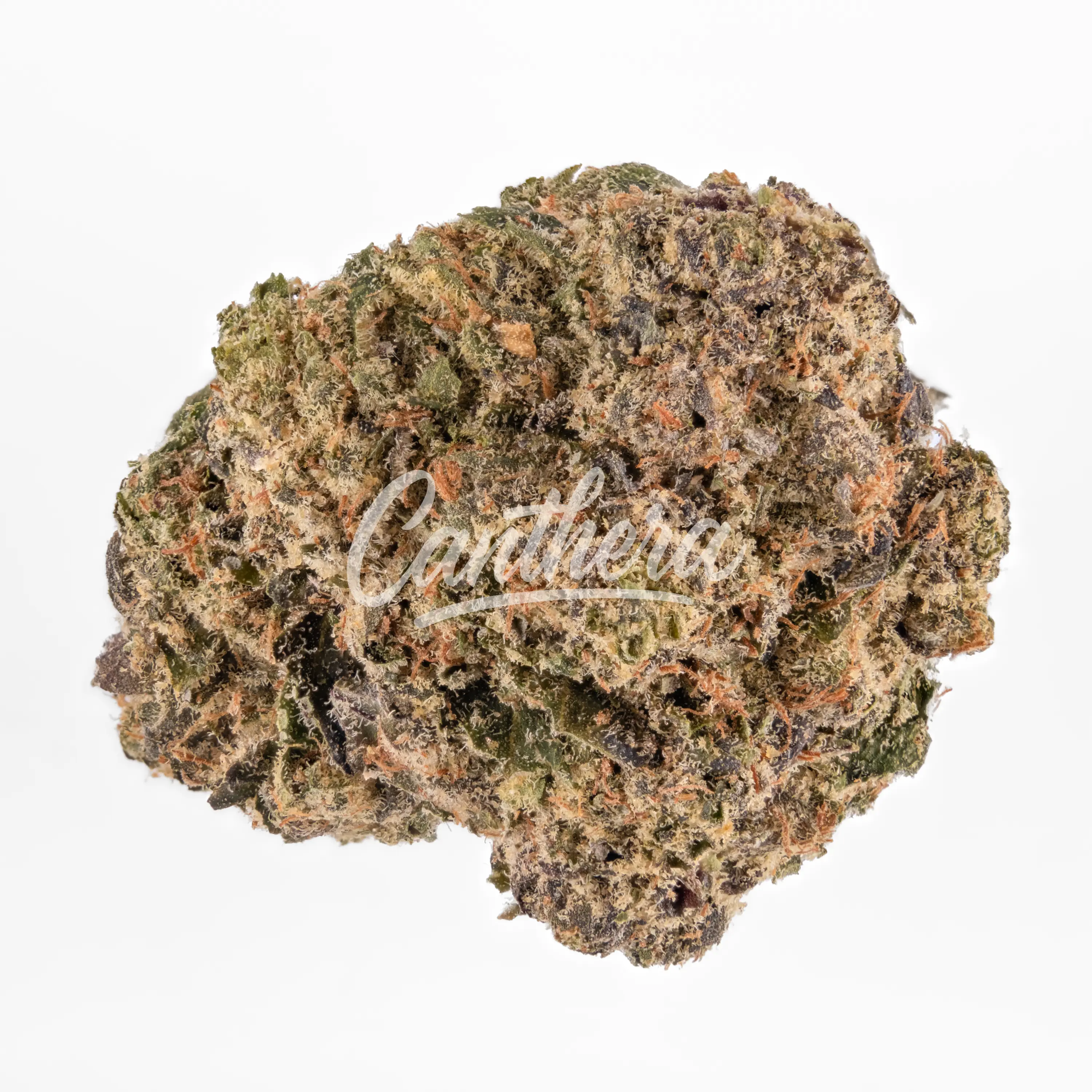 Buuo 22/1 CDLC - Cold Dank x Jelly Breath