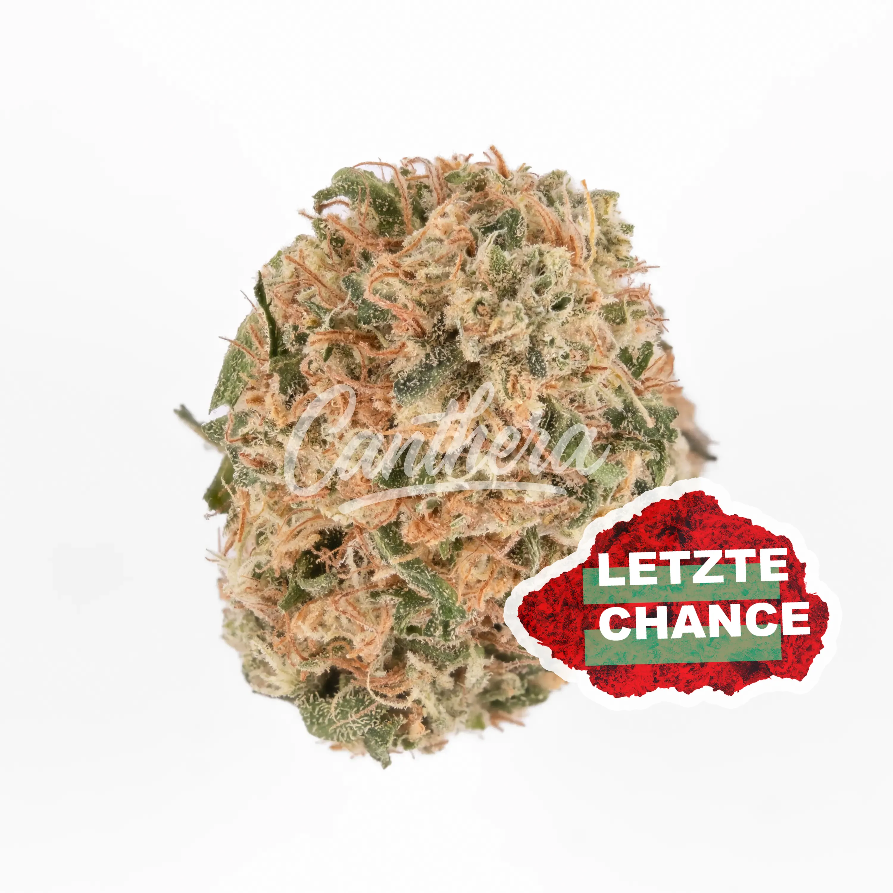 MCOS Strong 27/1 MDOC PXY Proxy