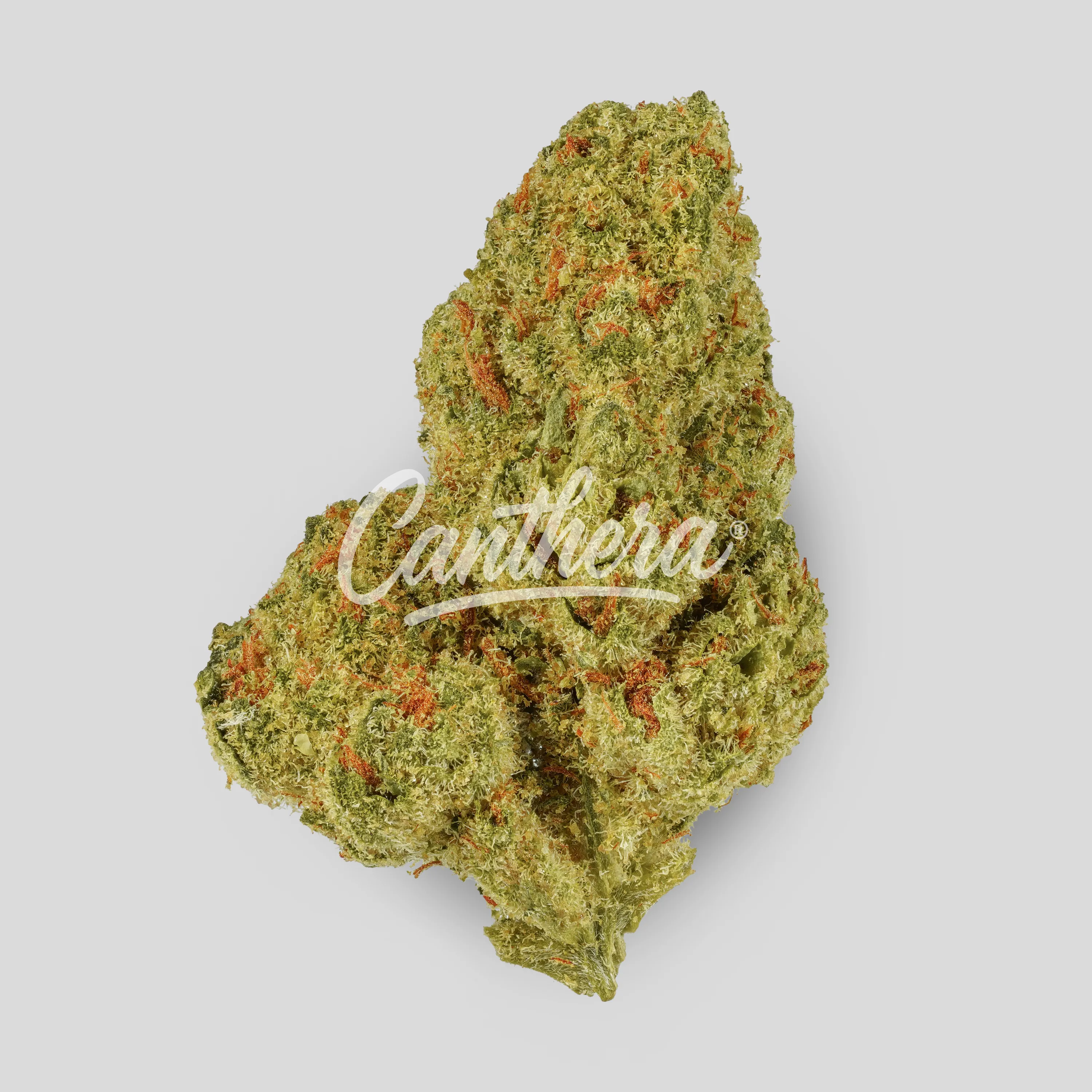 Canify Cannabis flos 22/1 CL - Papaya Bomb Canify Cannabis flos 22/1 CL - Papaya Bomb