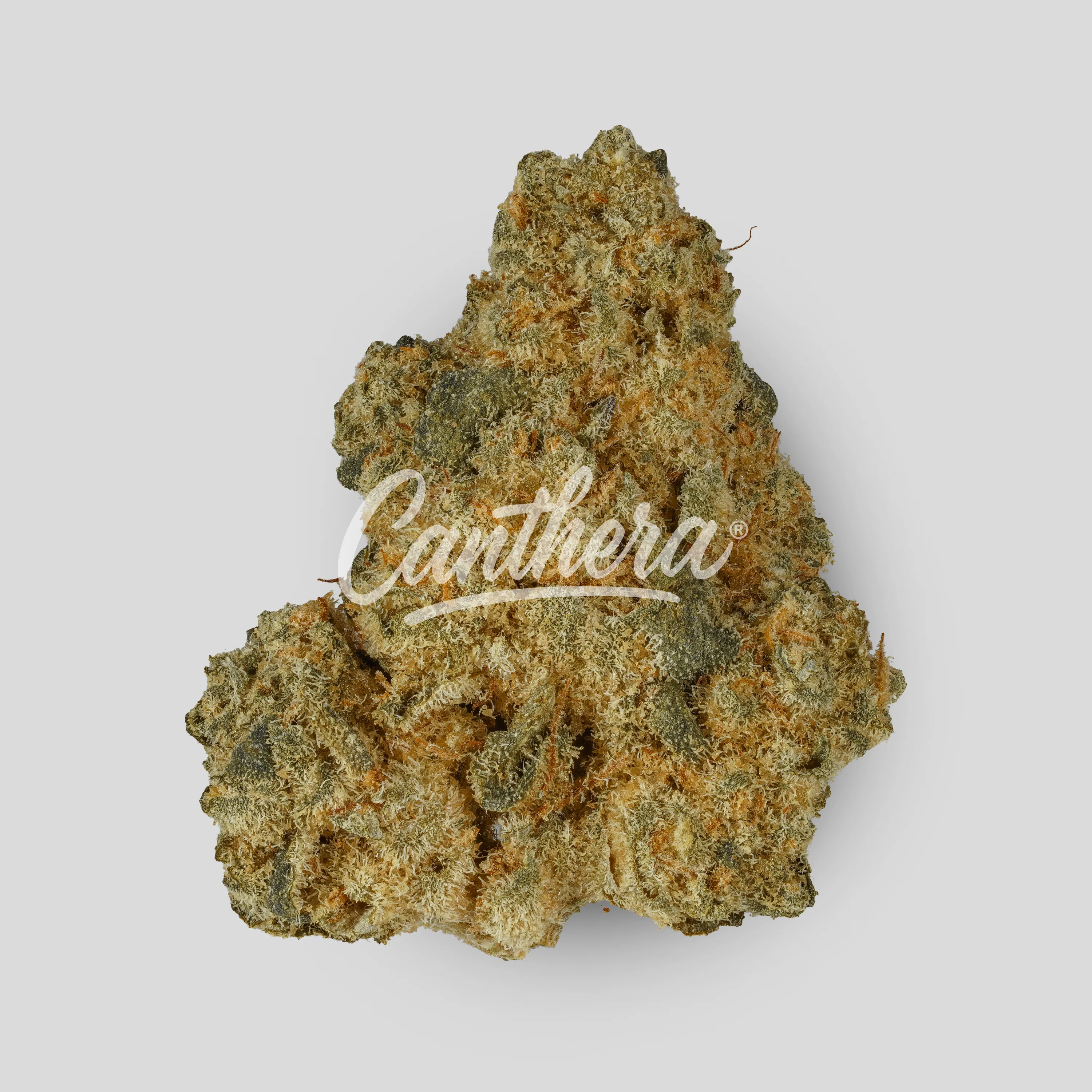 Huala 27/1 BDL Bakers Delight - Bakers delight