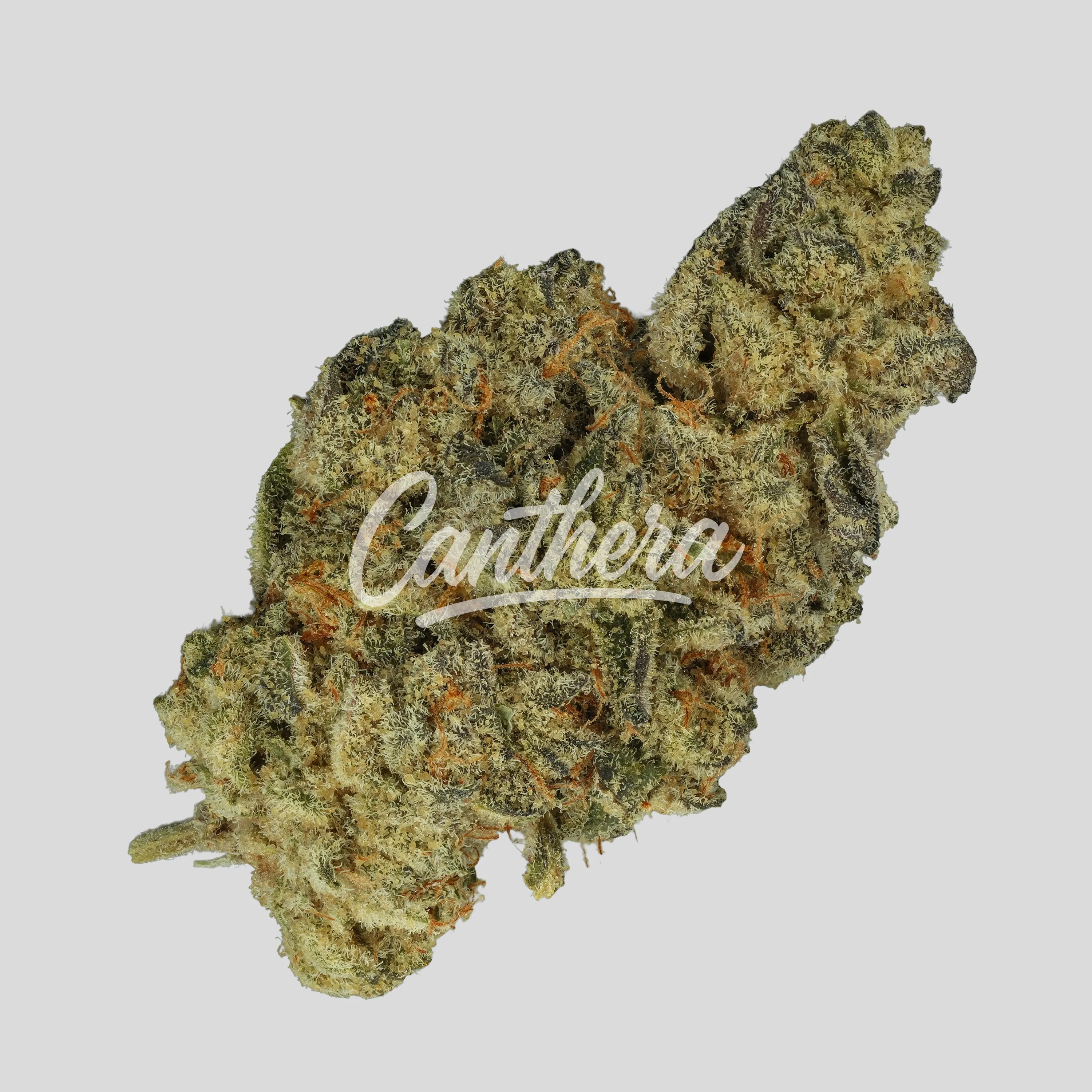 enua 30/1 BC CA - Cap Junky