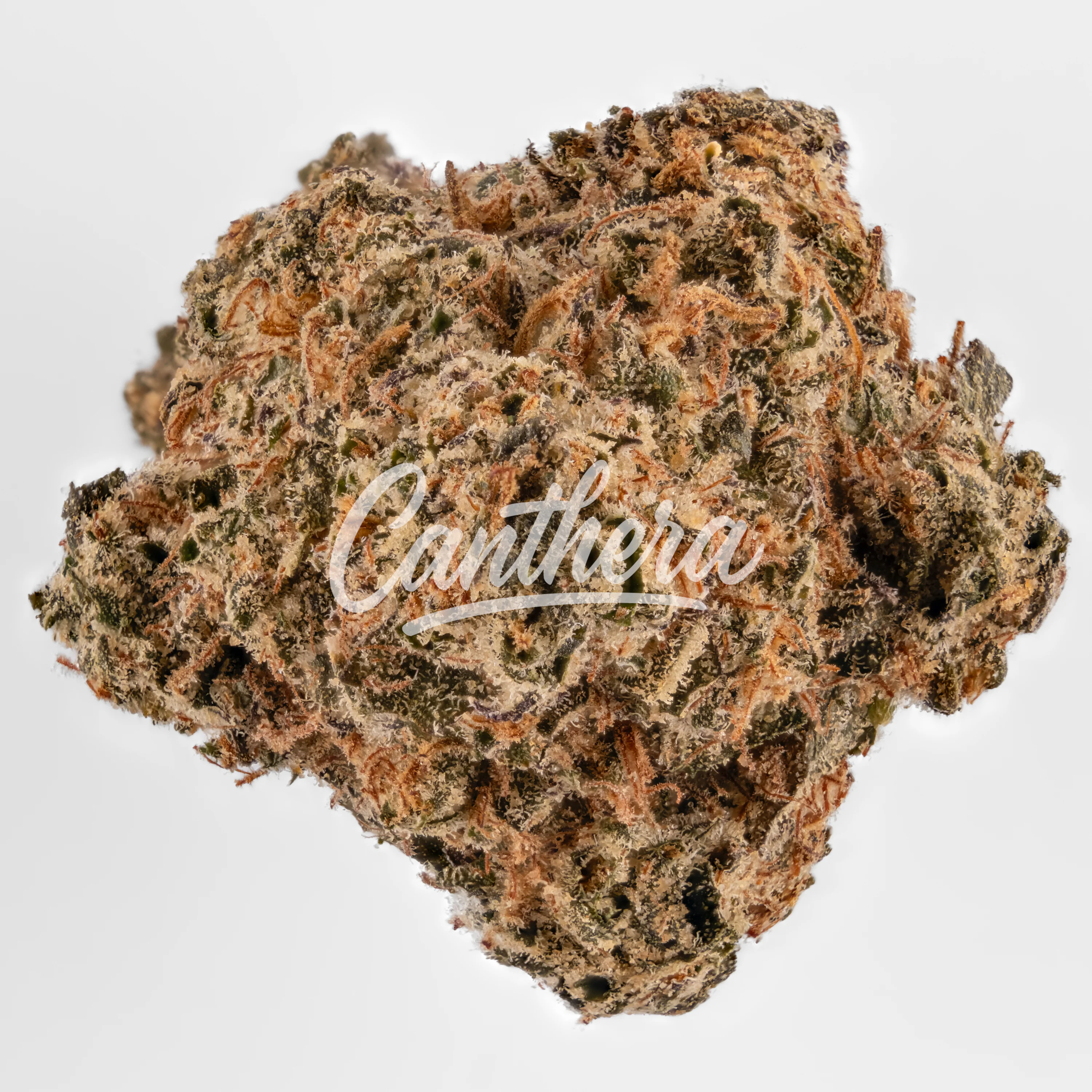 Remexian 27/1 CBT CHK Chemical Kush