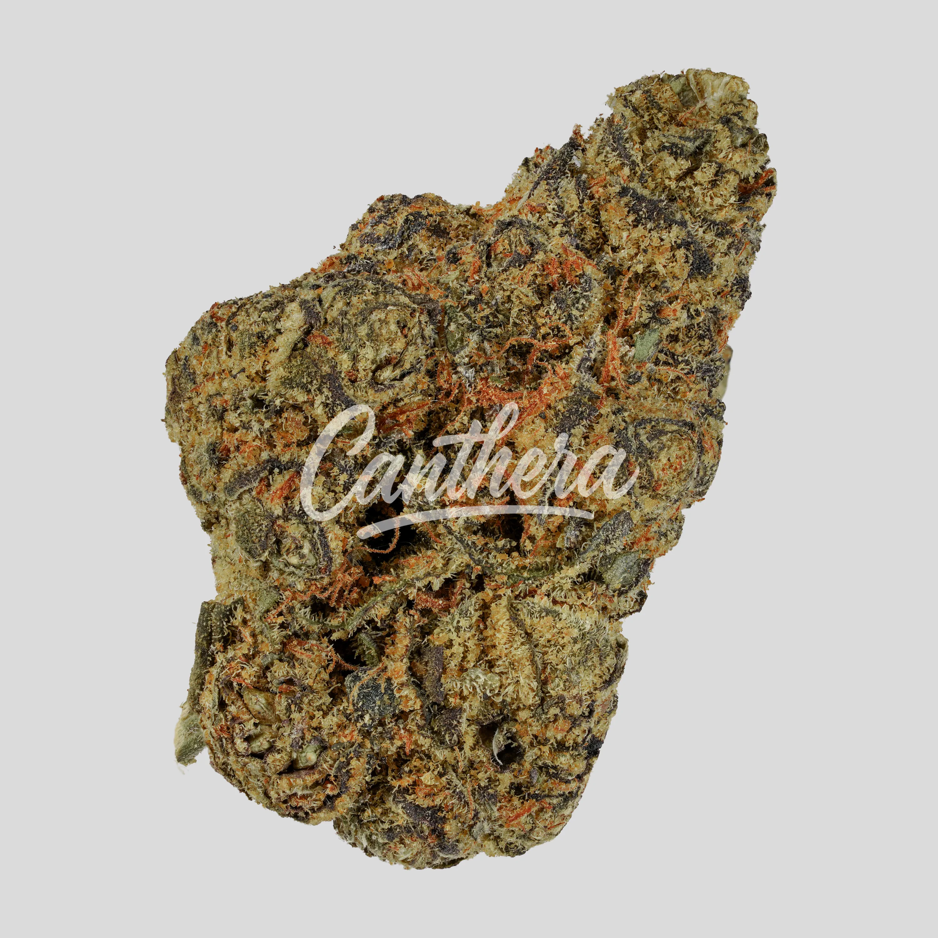 187 Cannabisflower PPP THC22 - Phantasia Purp 187 Cannabisflower PPP THC22 - Phantasia Purp
