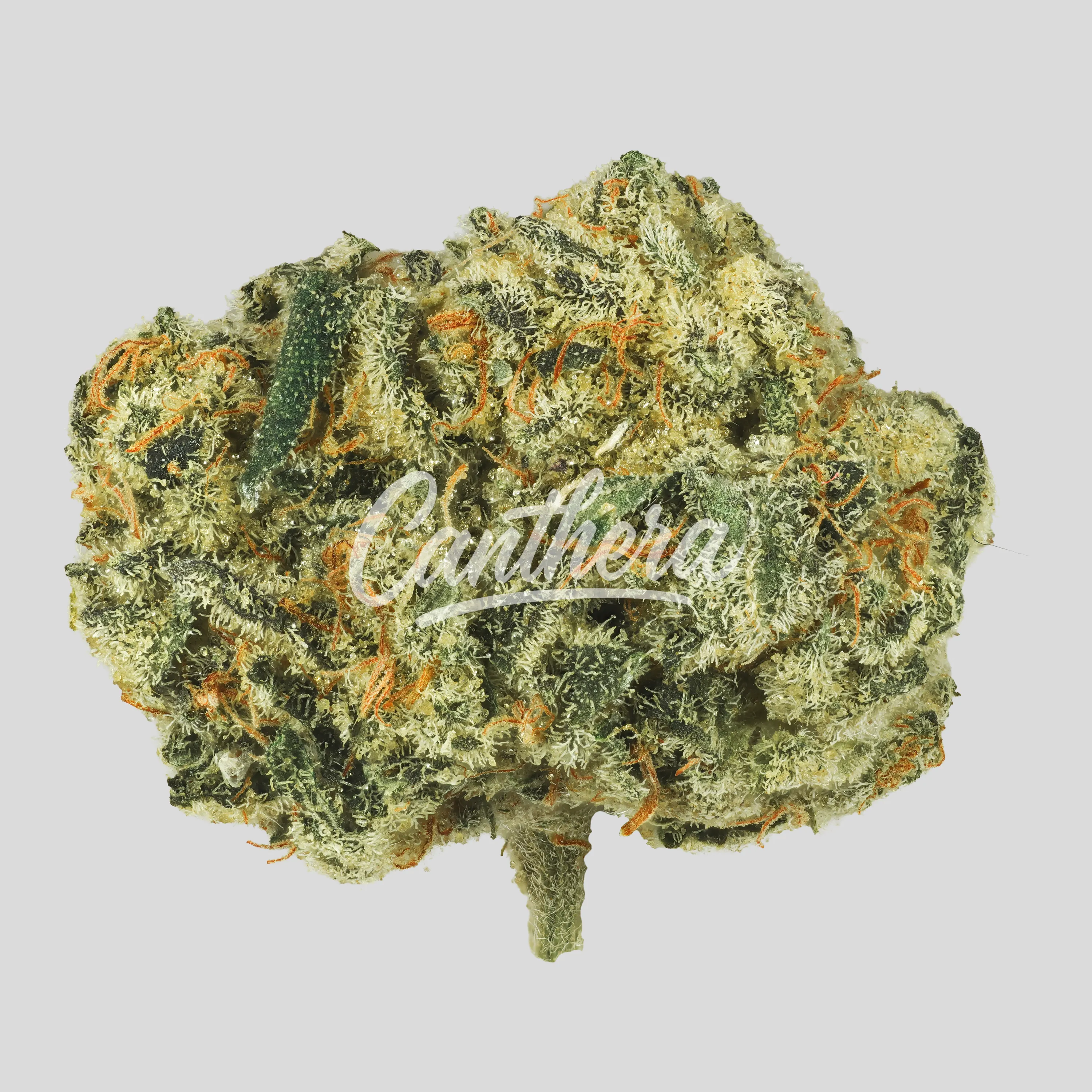 Demecan CRAFT Walkie Talkie 27:01 Sugar Cake