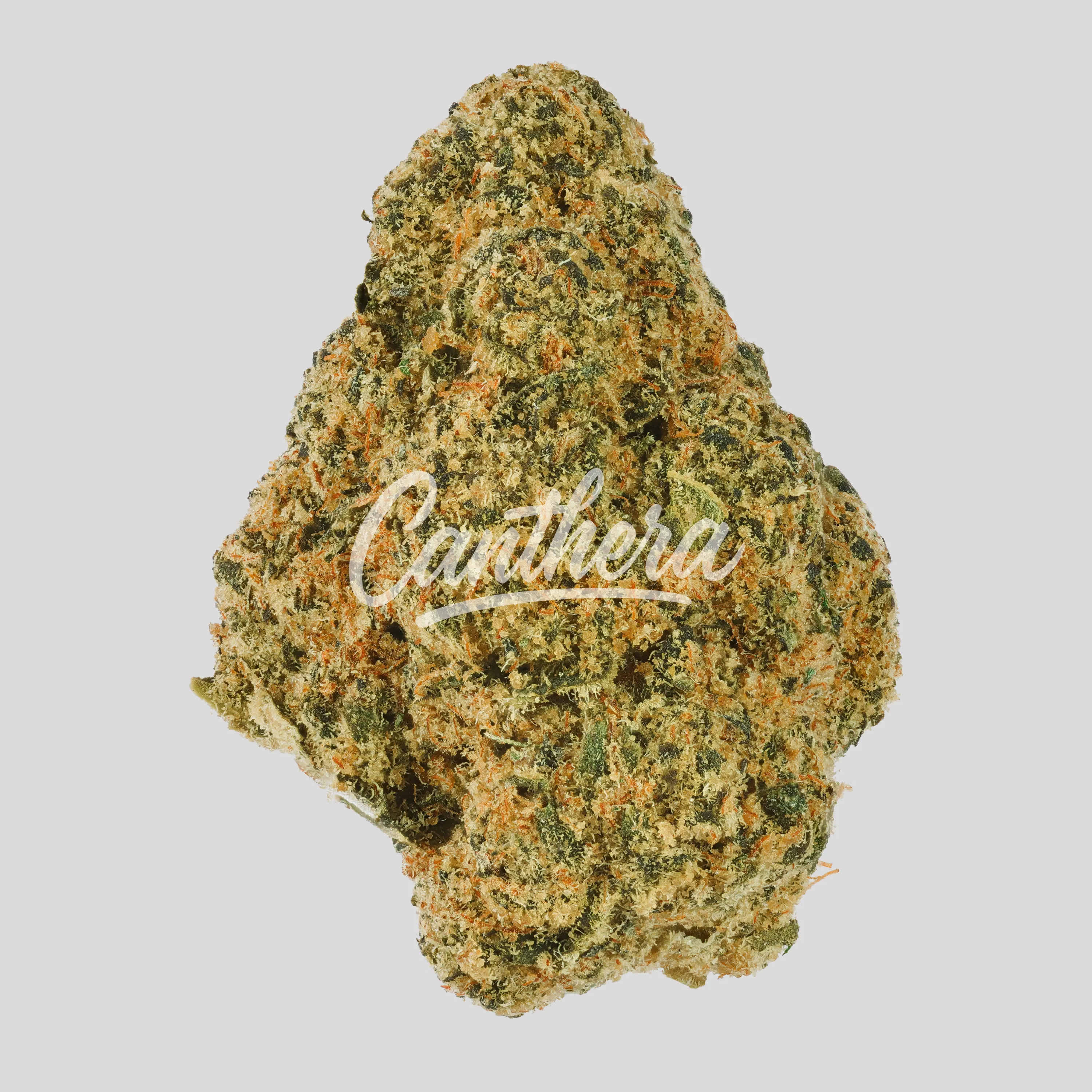 29/1 Amici WC - Wedding Cake