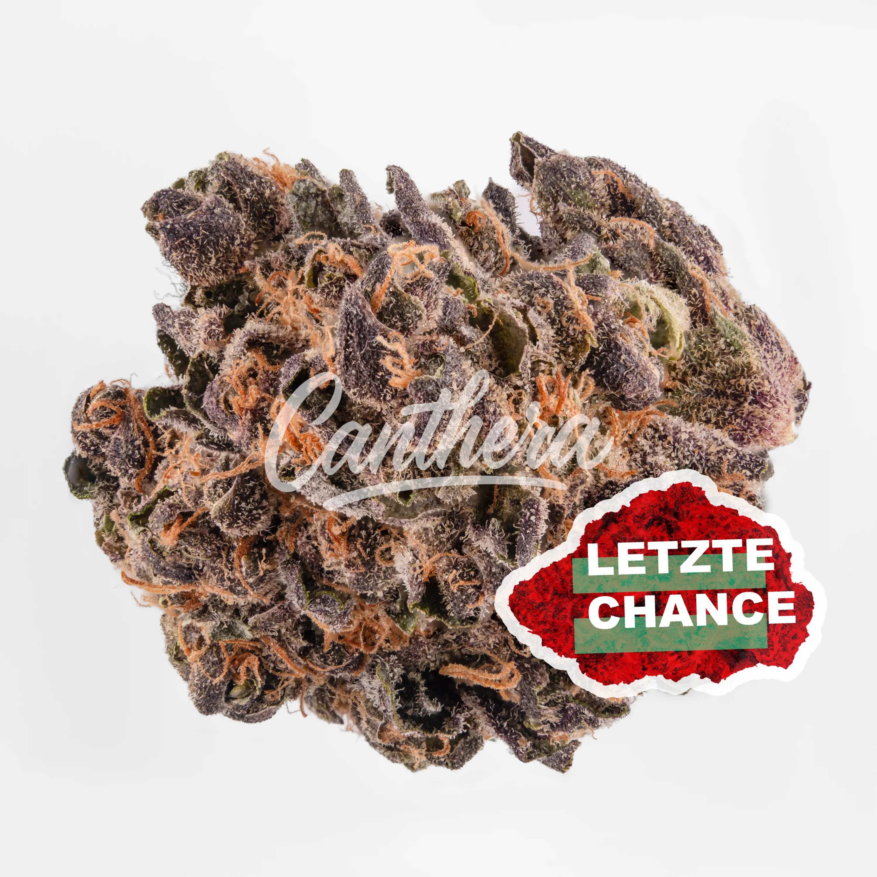 420 Natural 16/1 CA TRP Tropicana Cookies