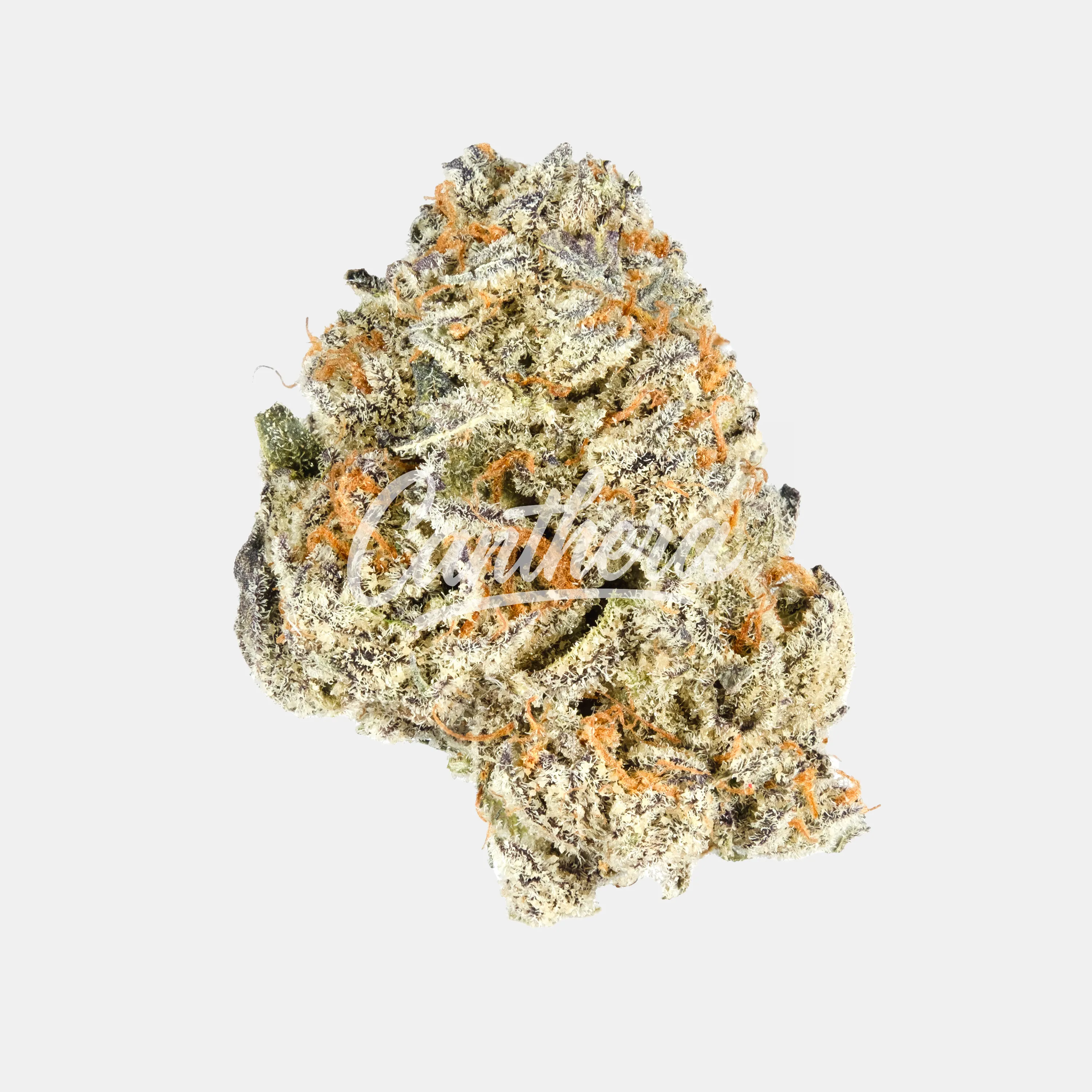 420 Compound 30/1 CA BER - Berlin Berries