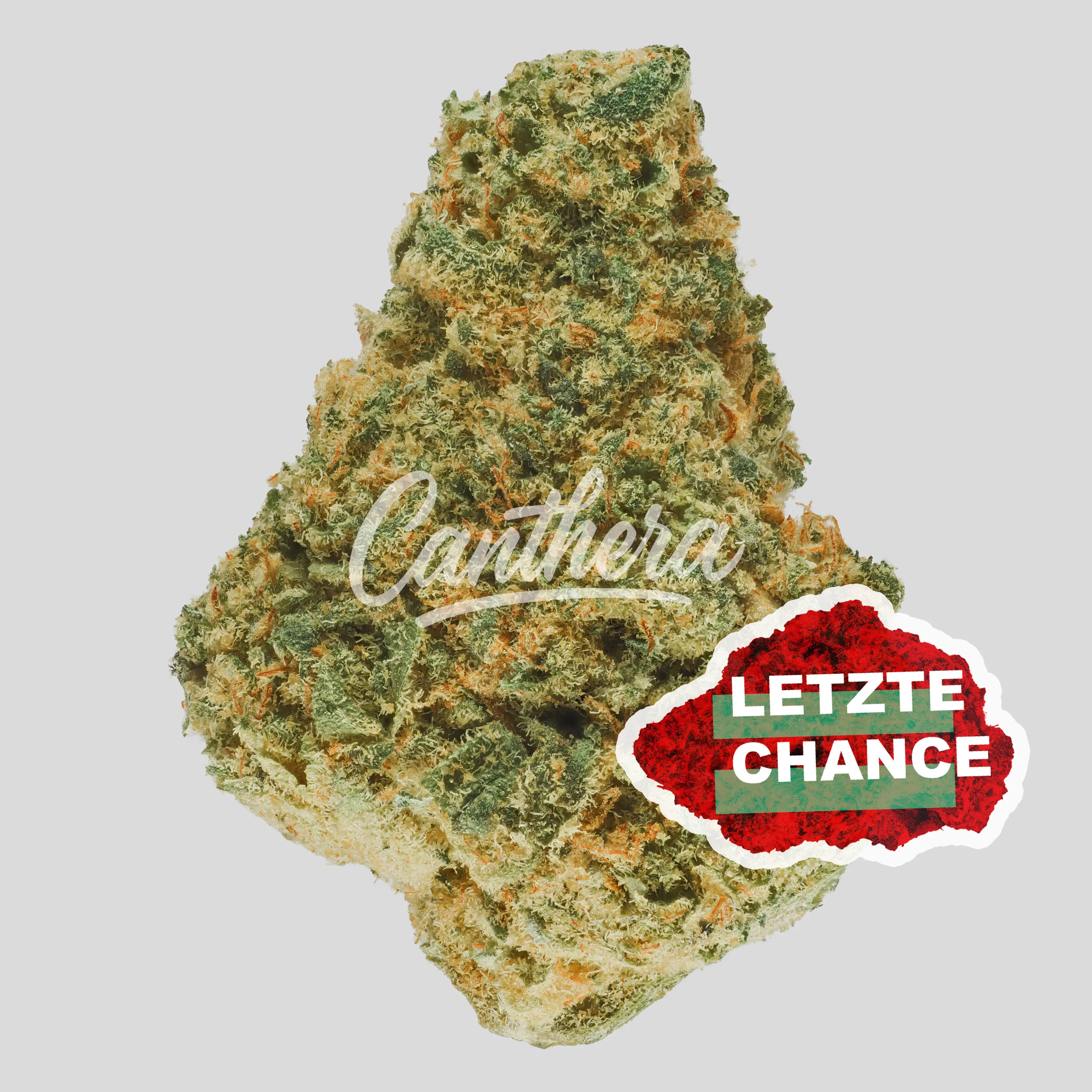 MGF Jurassic Deep Breath 22/1