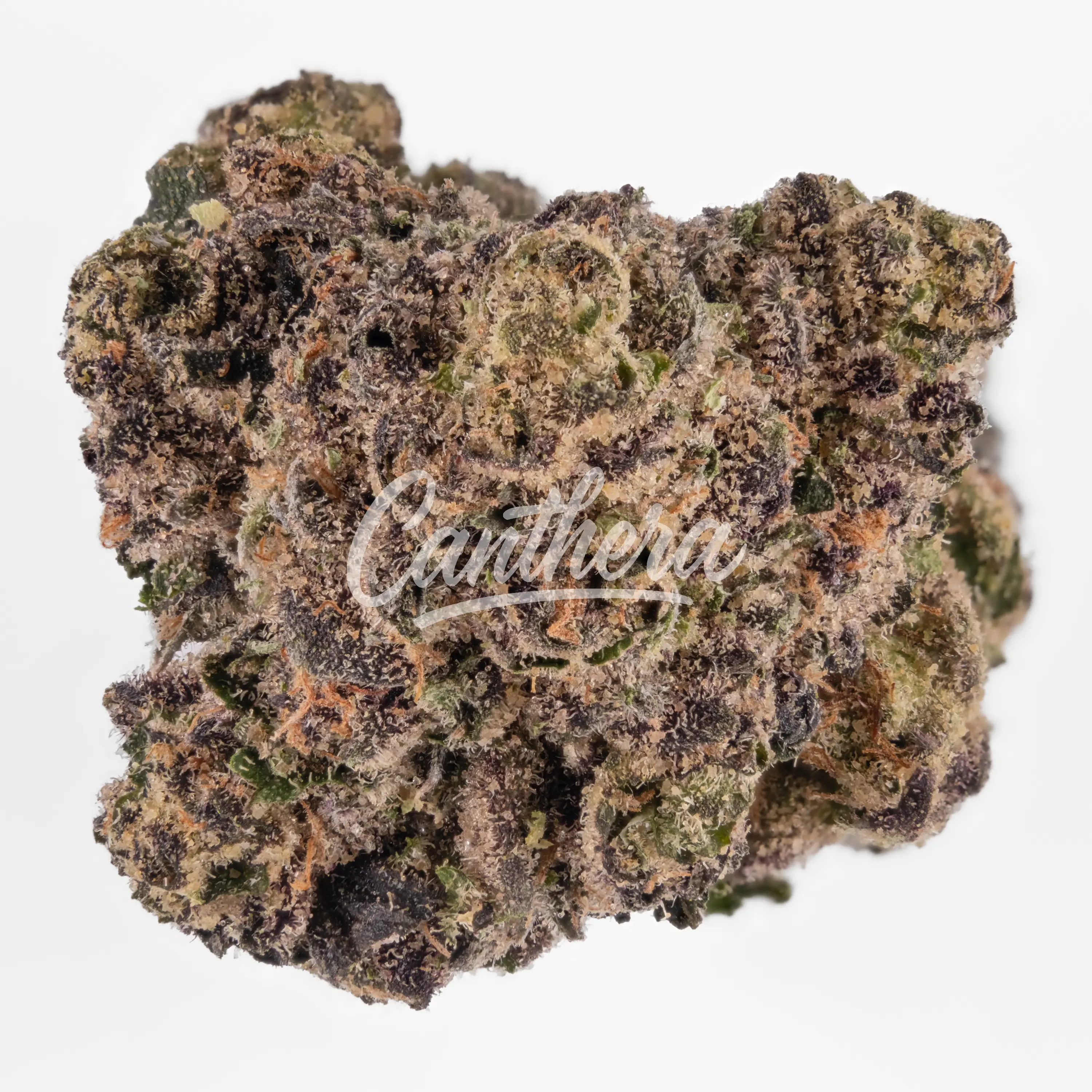 Demecan Craft Cali 29:1 - Hawaiian Rain x Permanent Marker