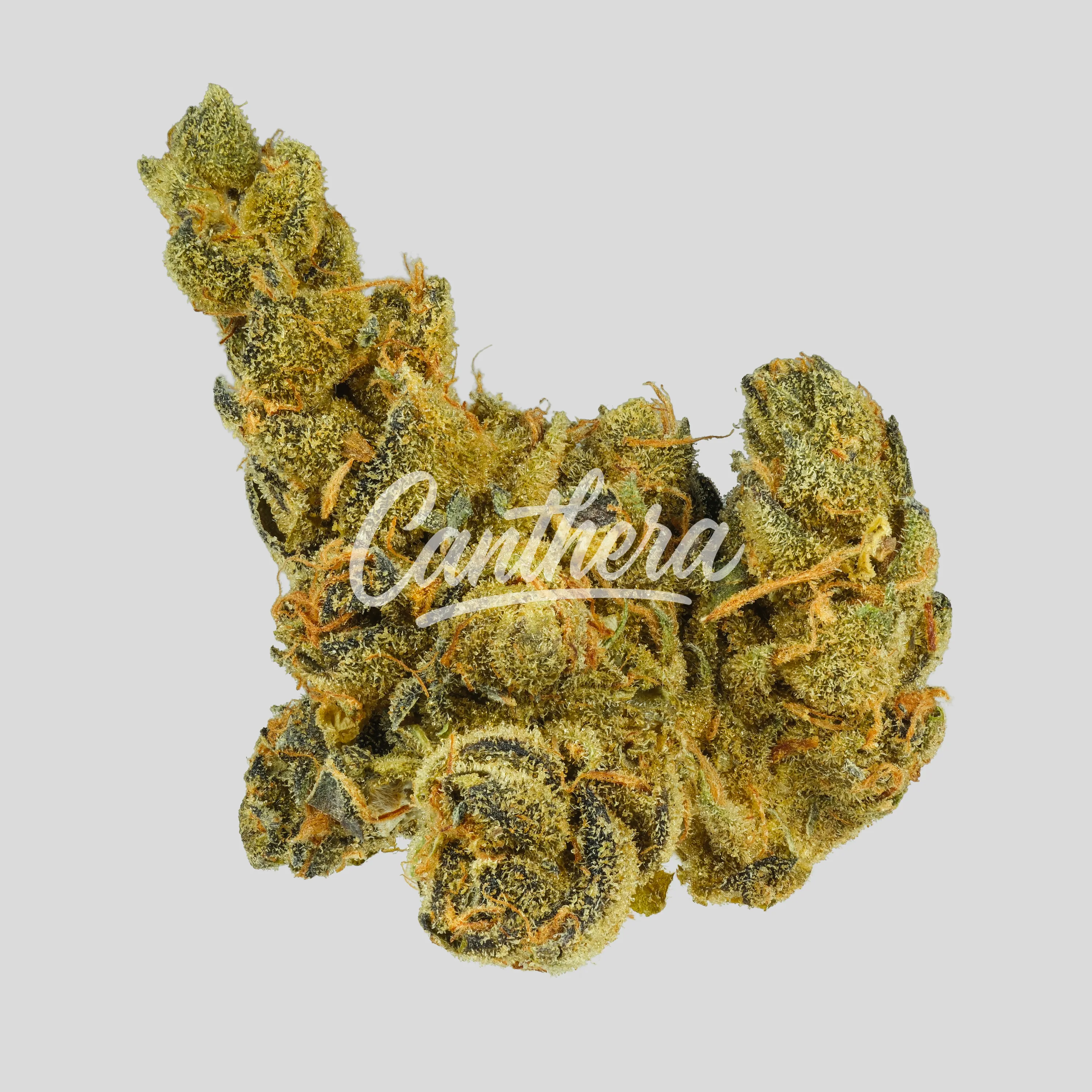 LOT 420 AB PT - Apples & Bananas