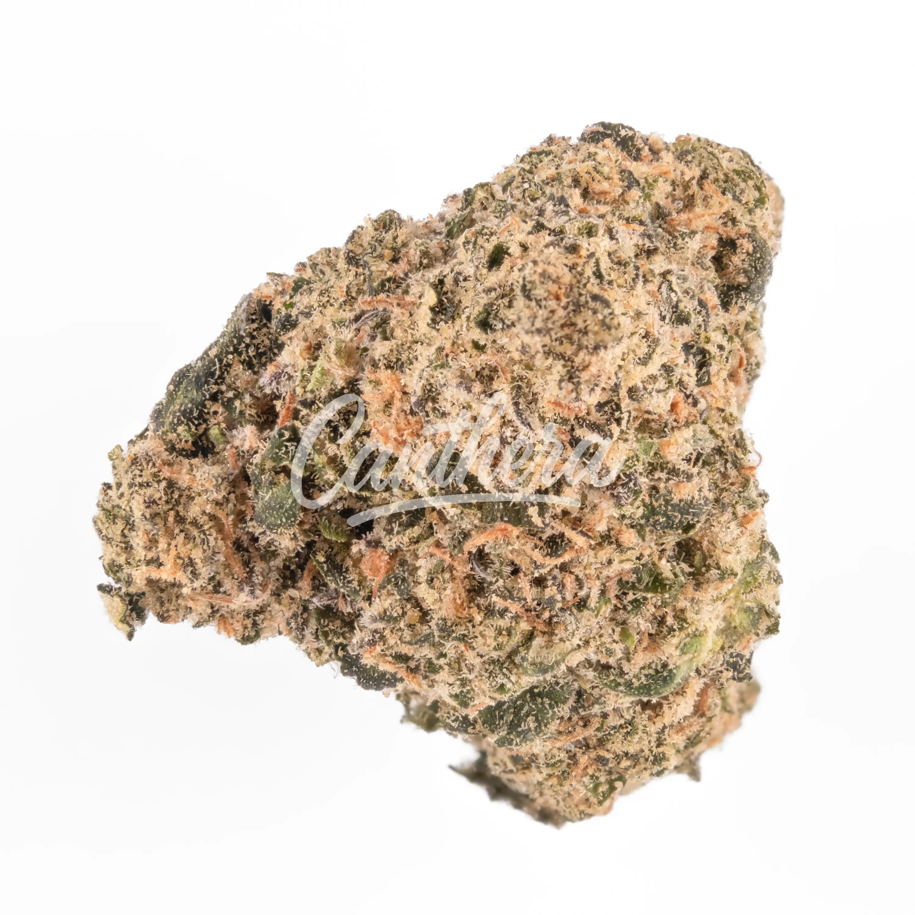 enua 27/1 GPU - Gastro Pop Ultra