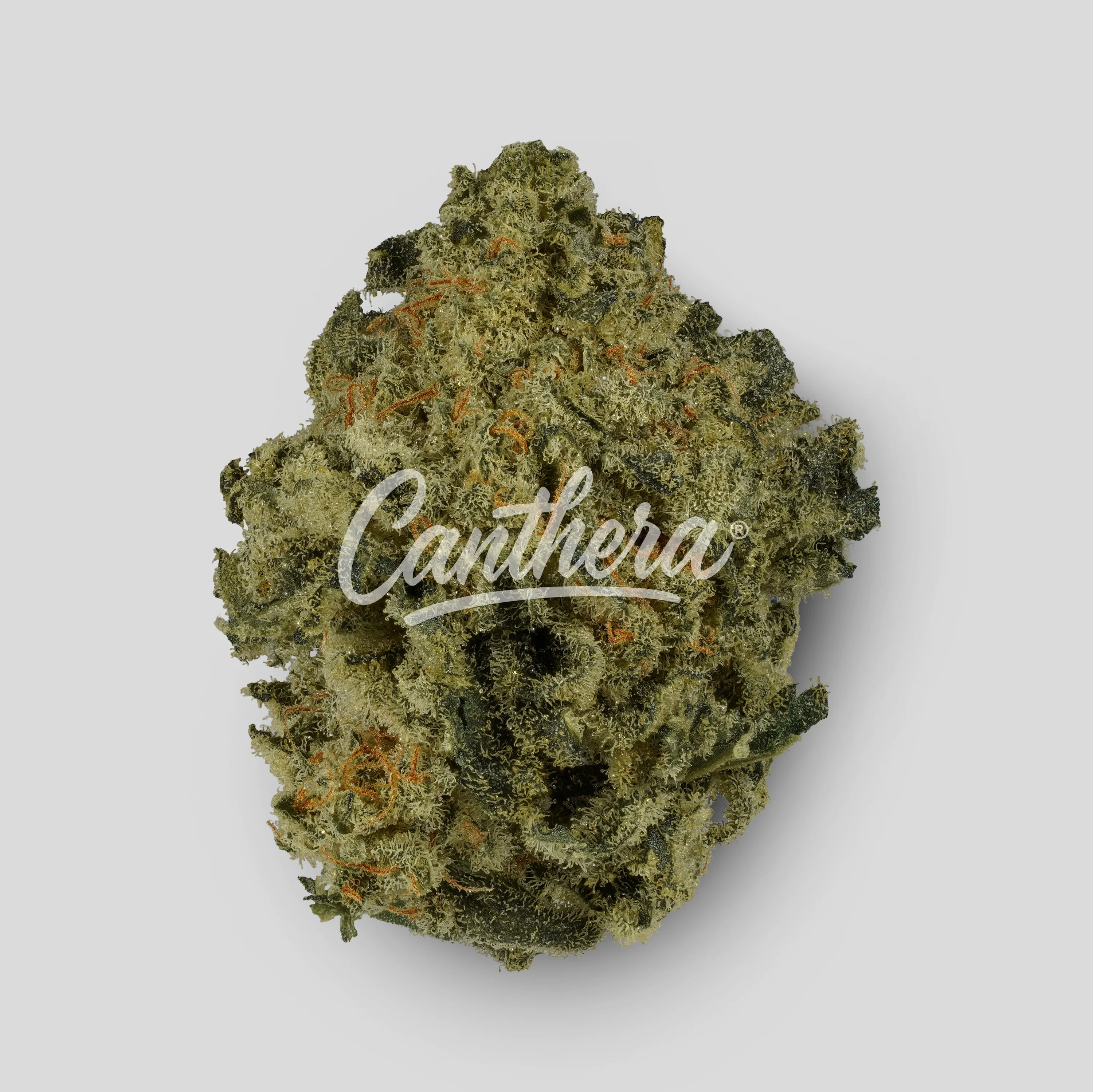 Tilray THC18 Spotlight Porto - Blueberry