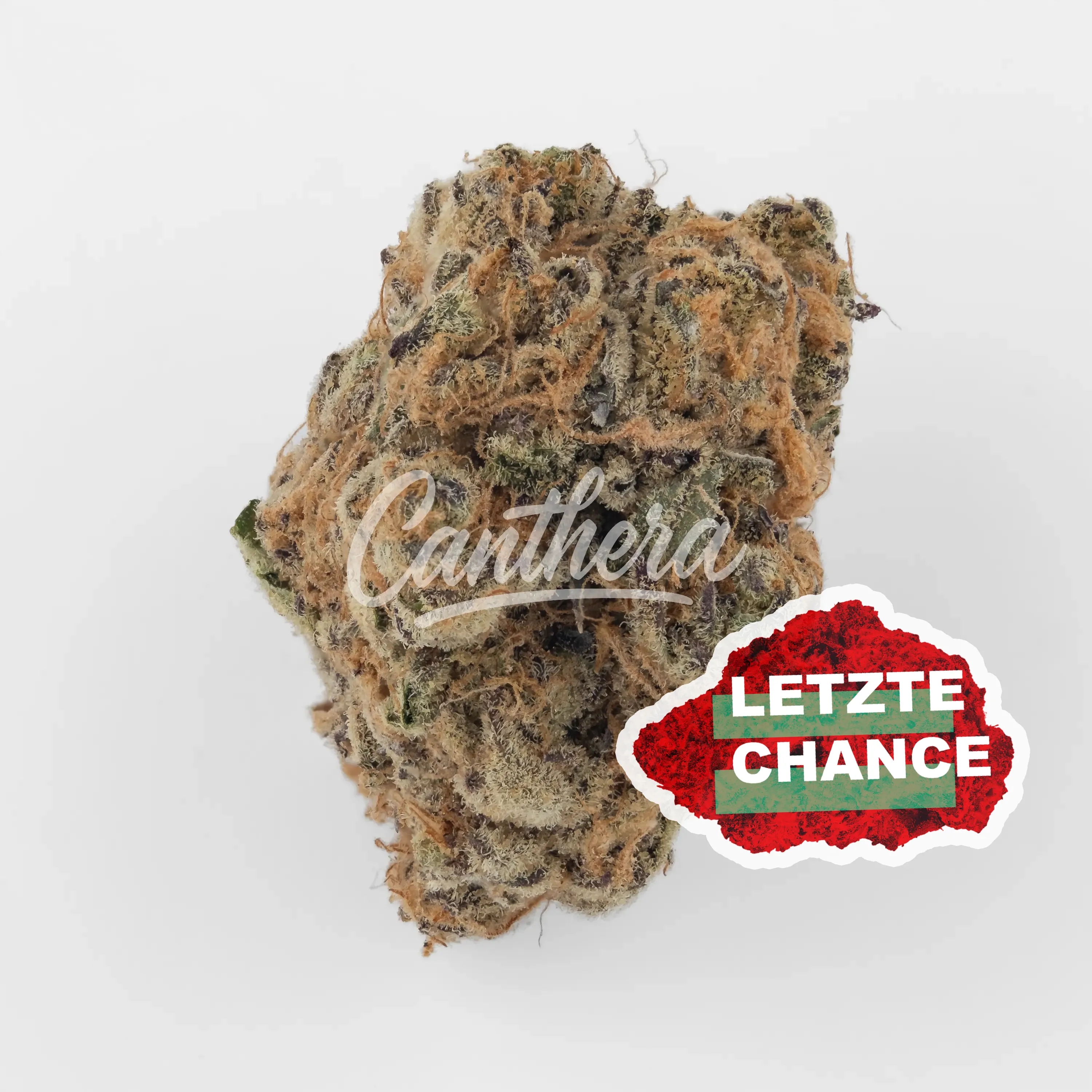 Cannamedical CM 24/1 PG - Platinum Grapes