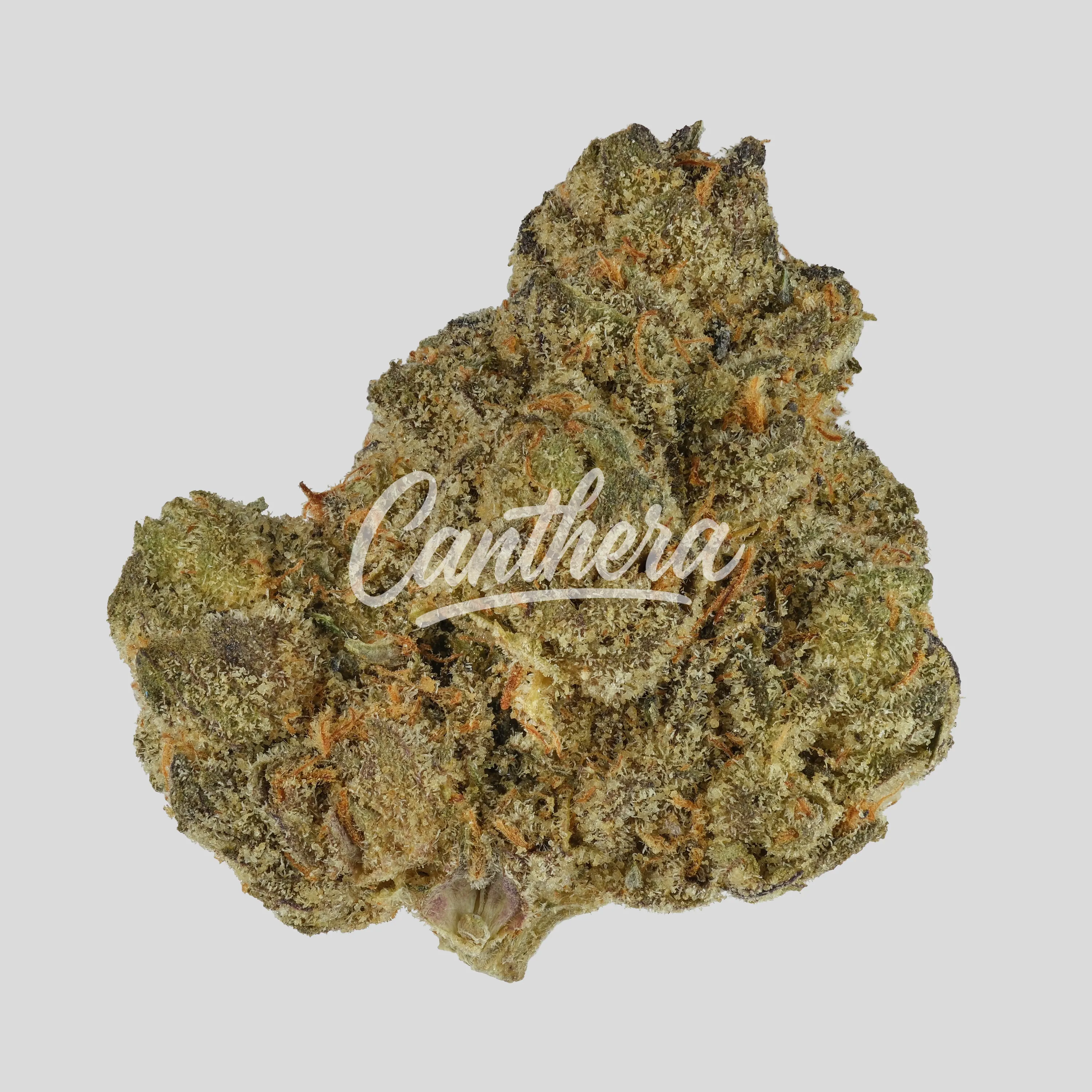 Demecan CV Regular Drop 25/1 - Banana Kush