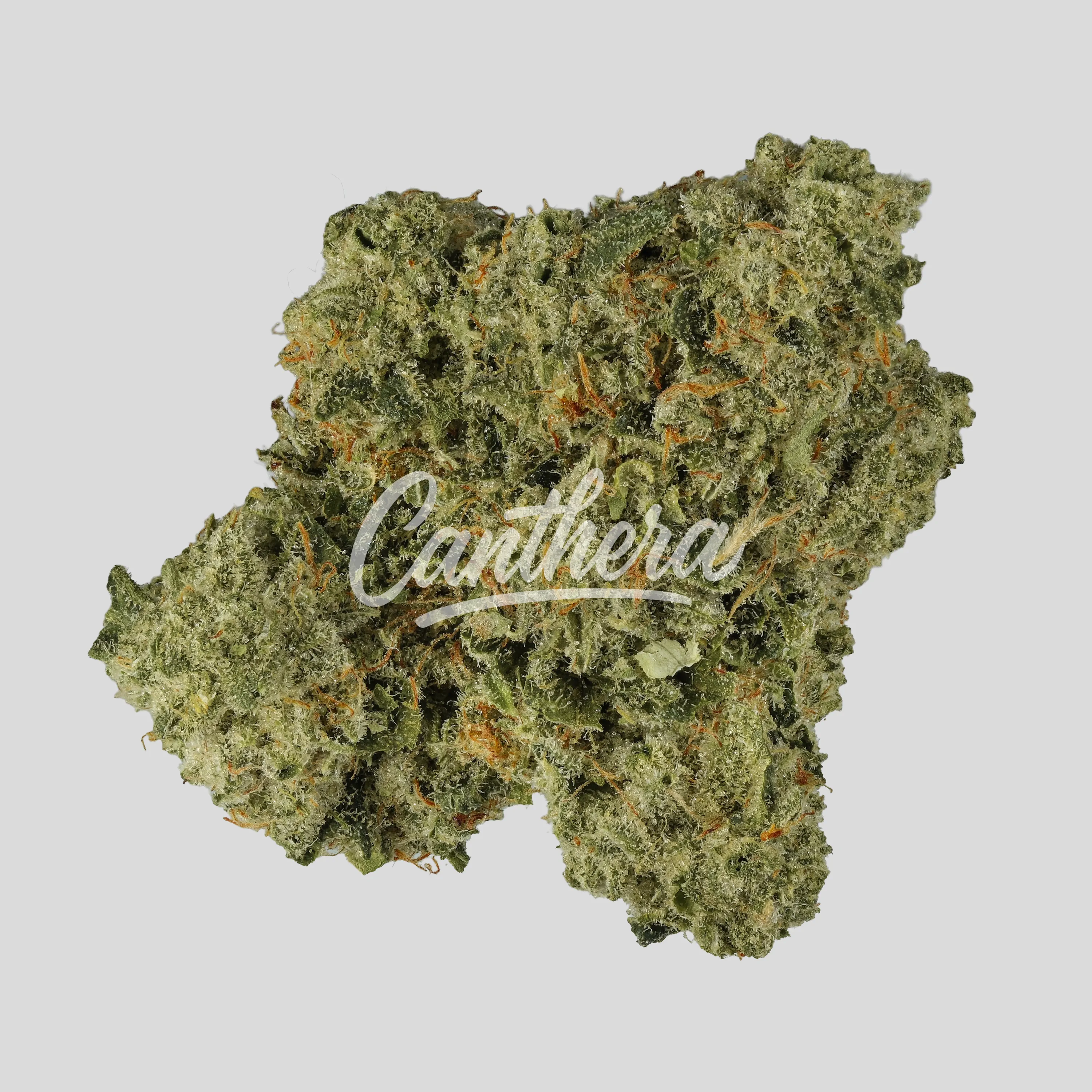Demecan Craft Electron 31:01 - Gelato OG Kush