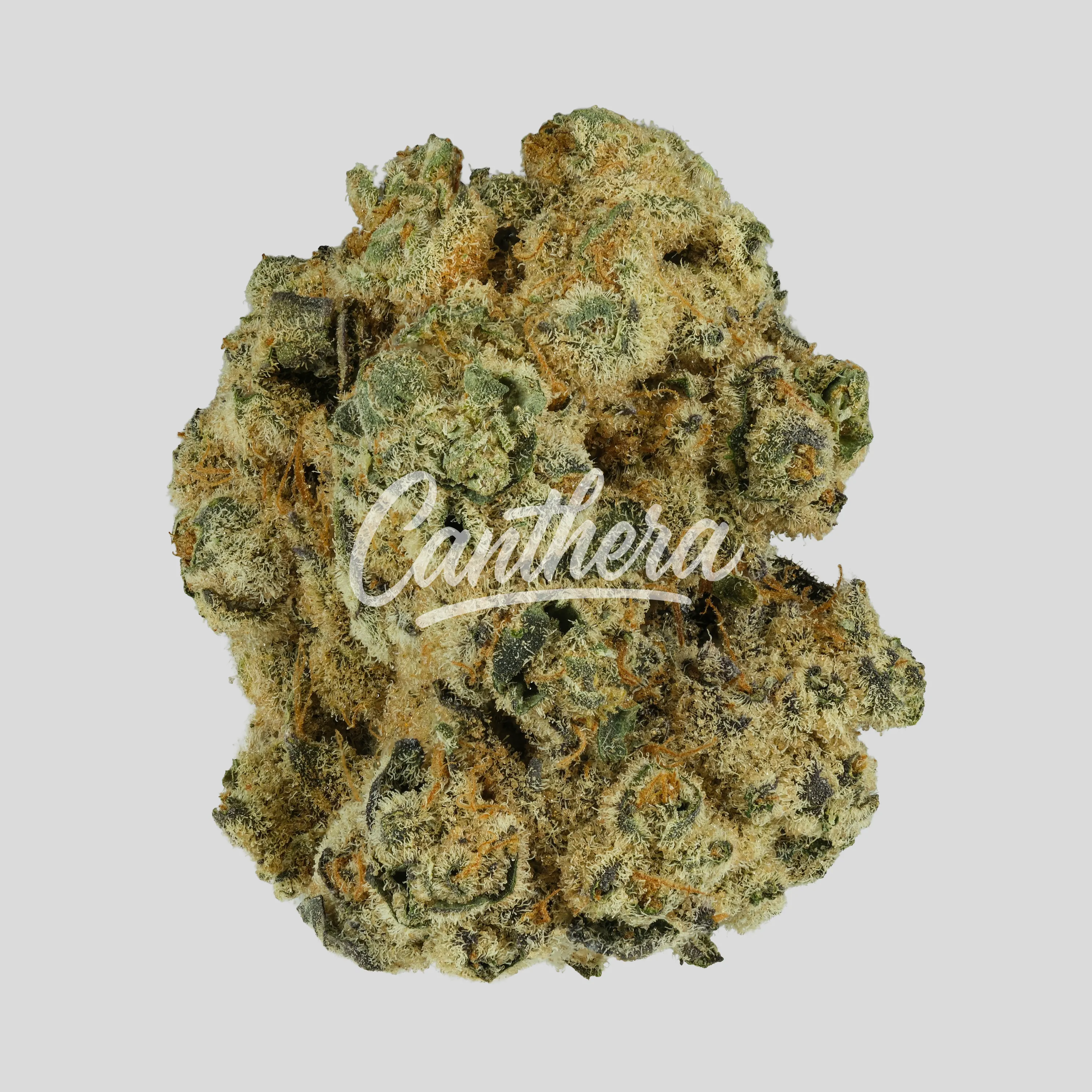 Remexian 33/1 MTL DIN - Dante'z Inferno