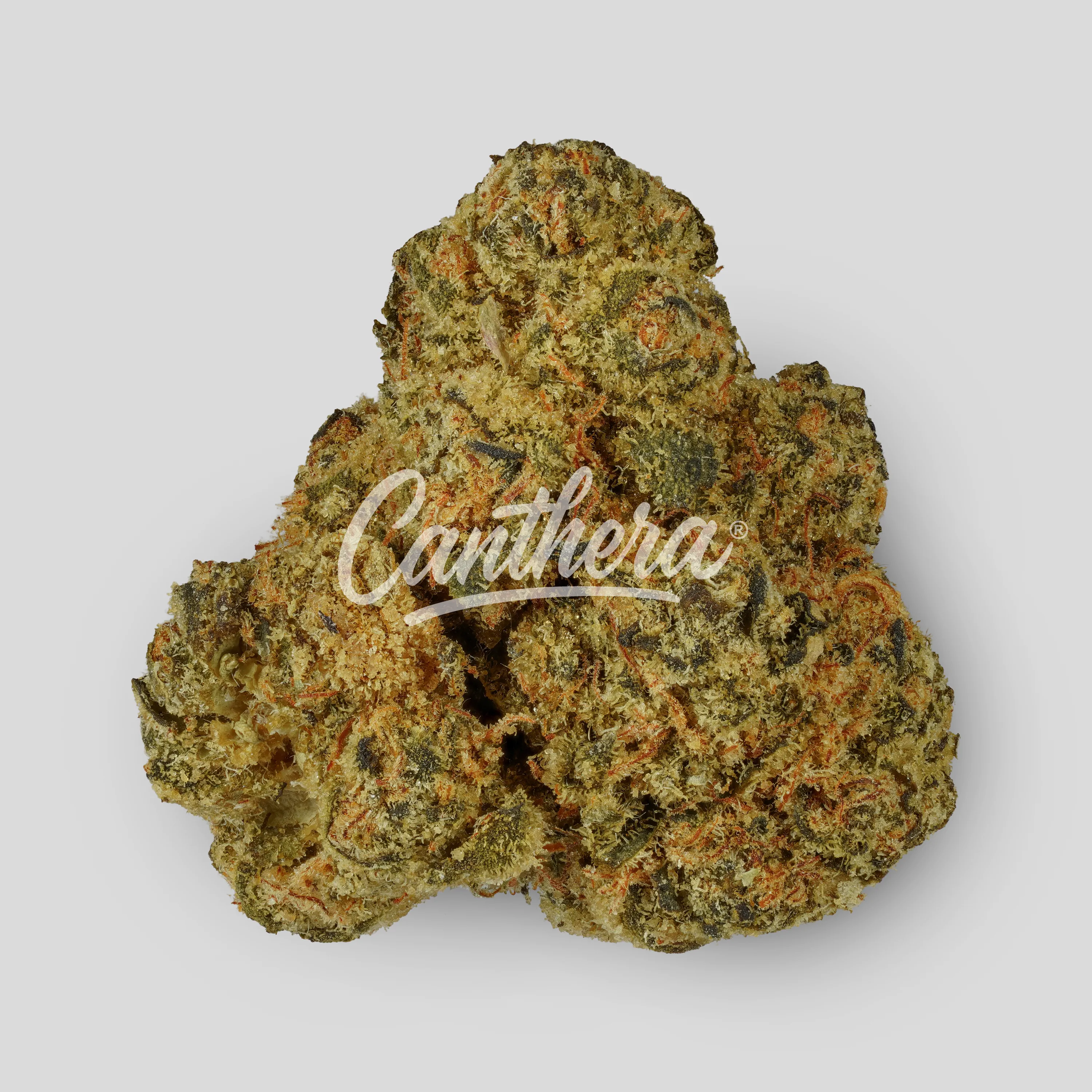 NICE 29/1 KM - Kush Mints