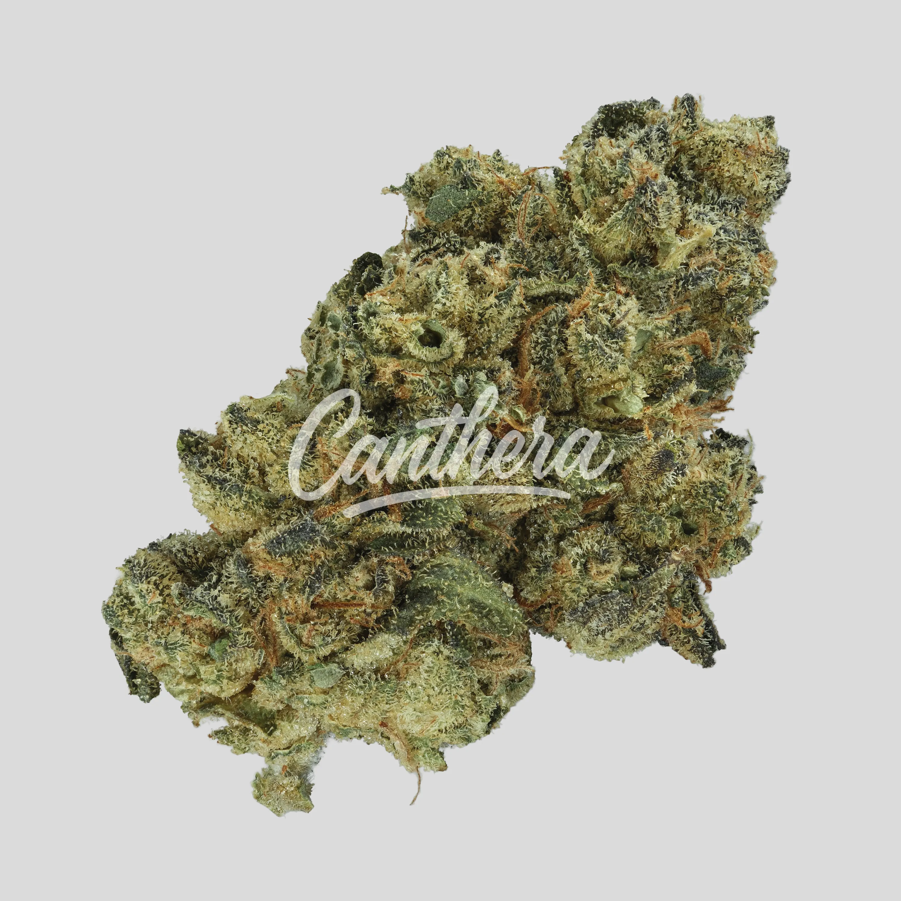 NICE 30/1 OZK - Ozark