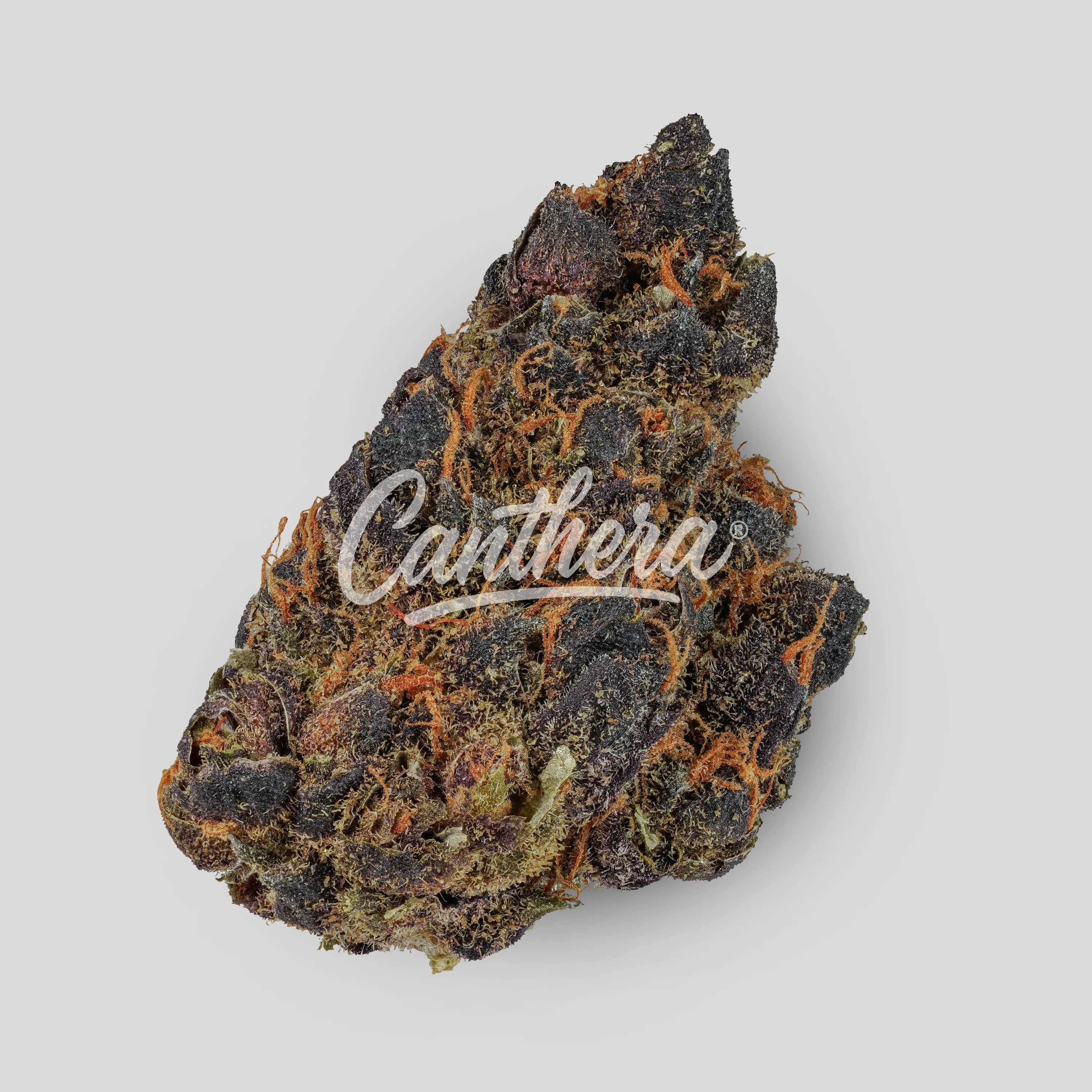 420 Natural 14/1 CA TRP - Tropicana Cookies 420 Natural 14/1 CA TRP - Tropicana Cookies