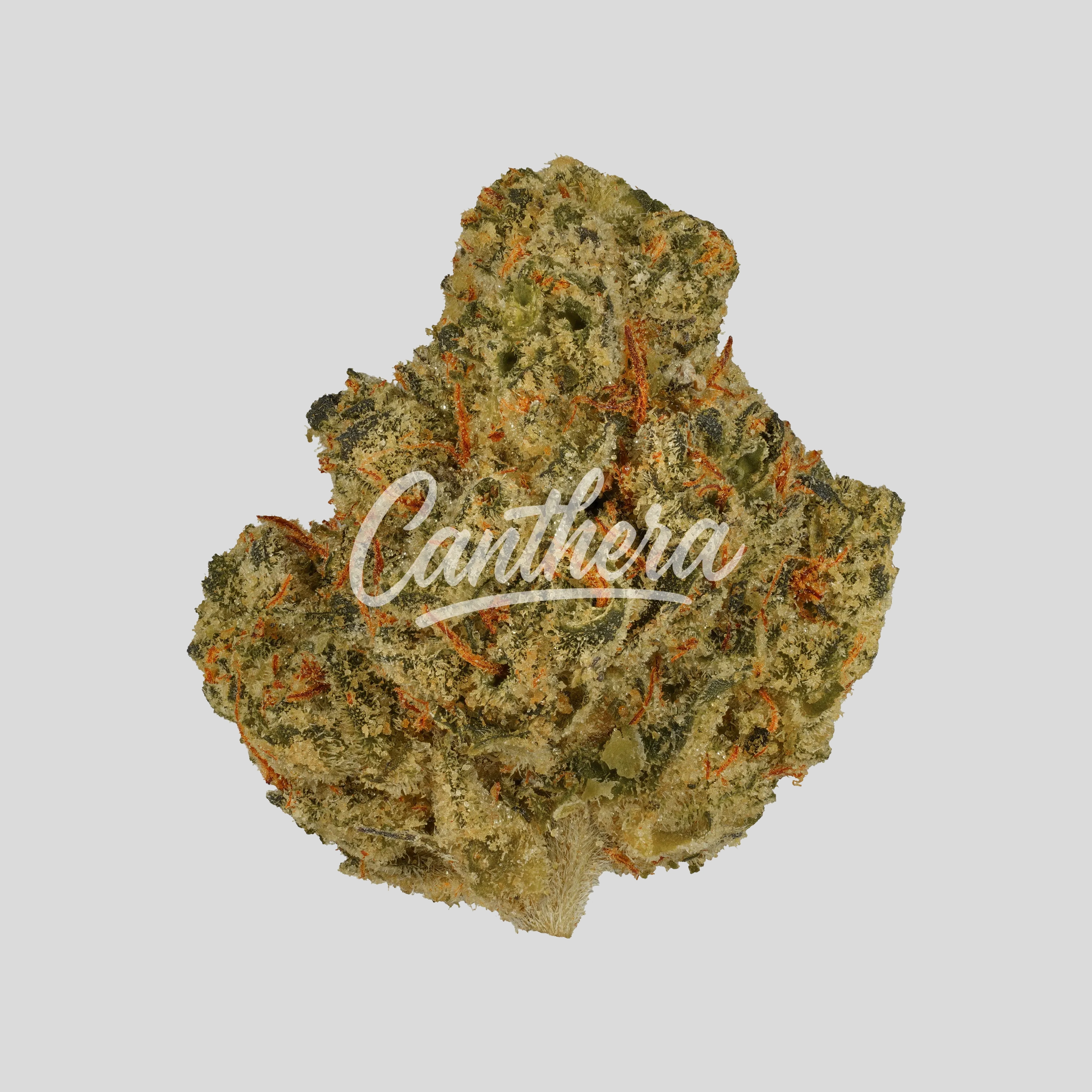 Canopy CME 28 - Chemsicle