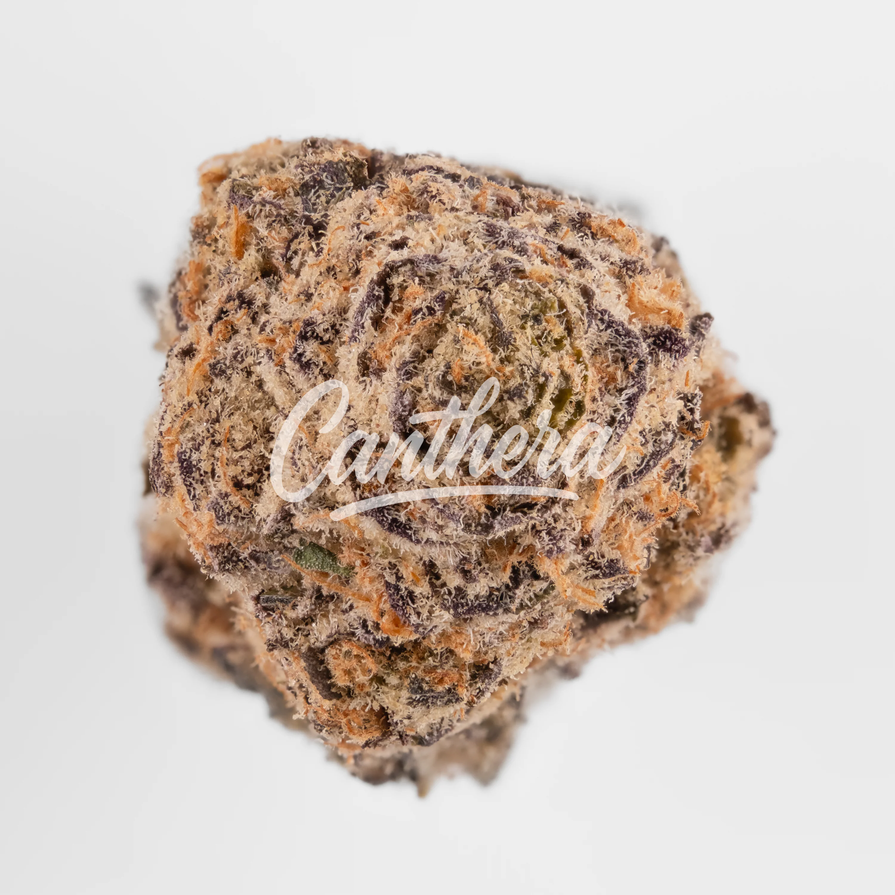 Green Karat PF 22/1 Permanent Fruz