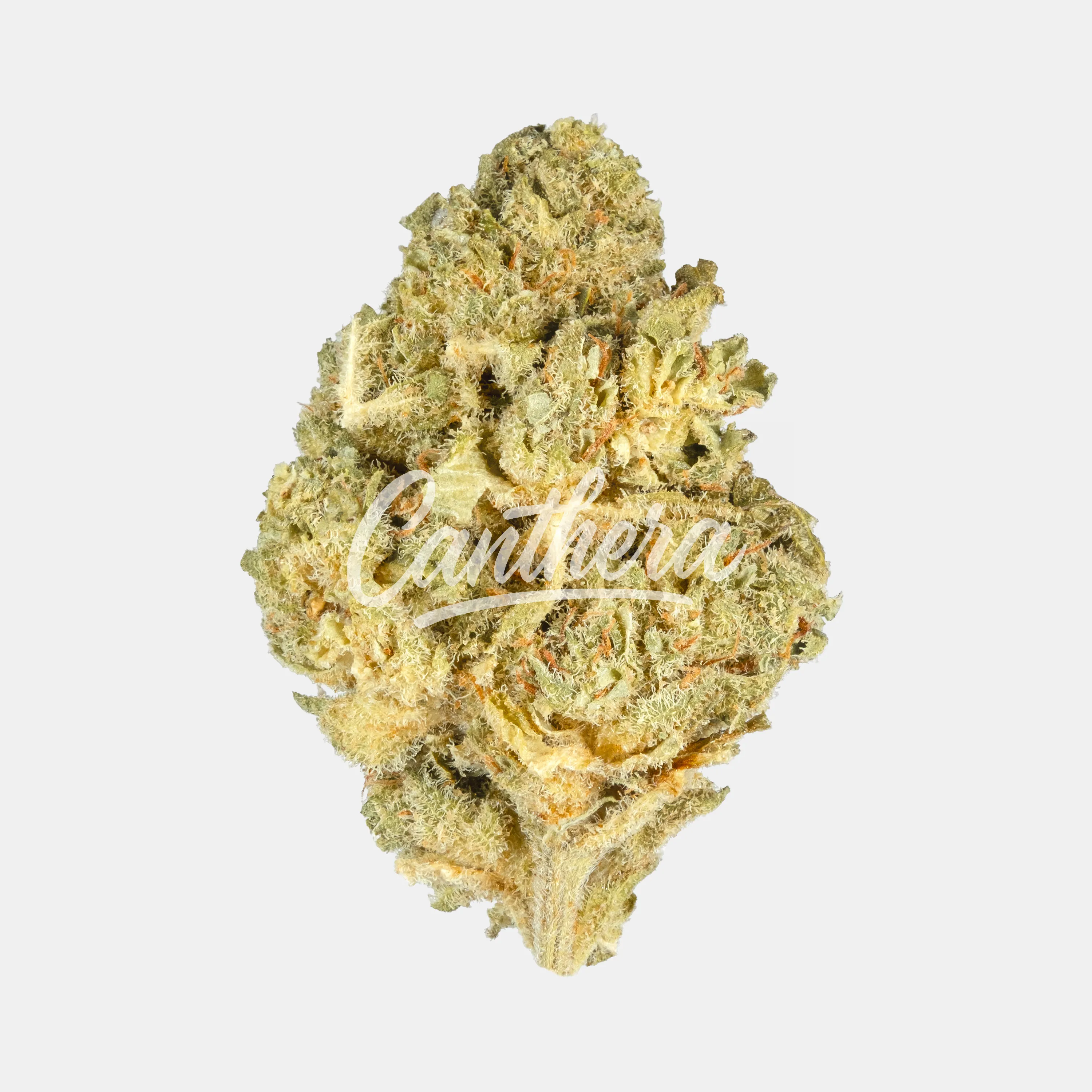420 Sungrown 20/1 CA ZRP - Zour Apple 420 Sungrown 20/1 CA ZRP - Zour Apple