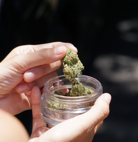 Cannabisblüten in einem Glasbehälter