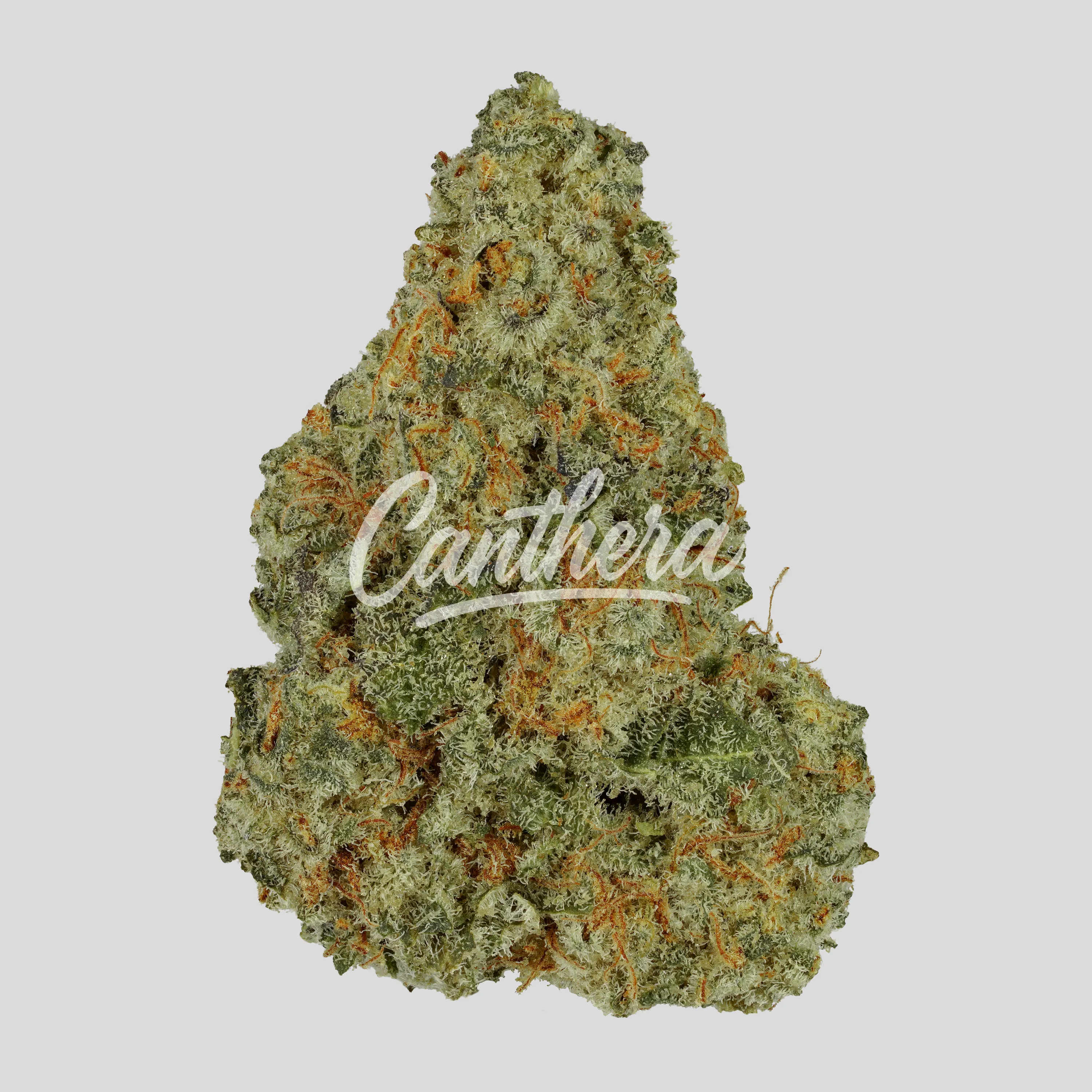Huala 30/1 CA ALM - Alien Mints