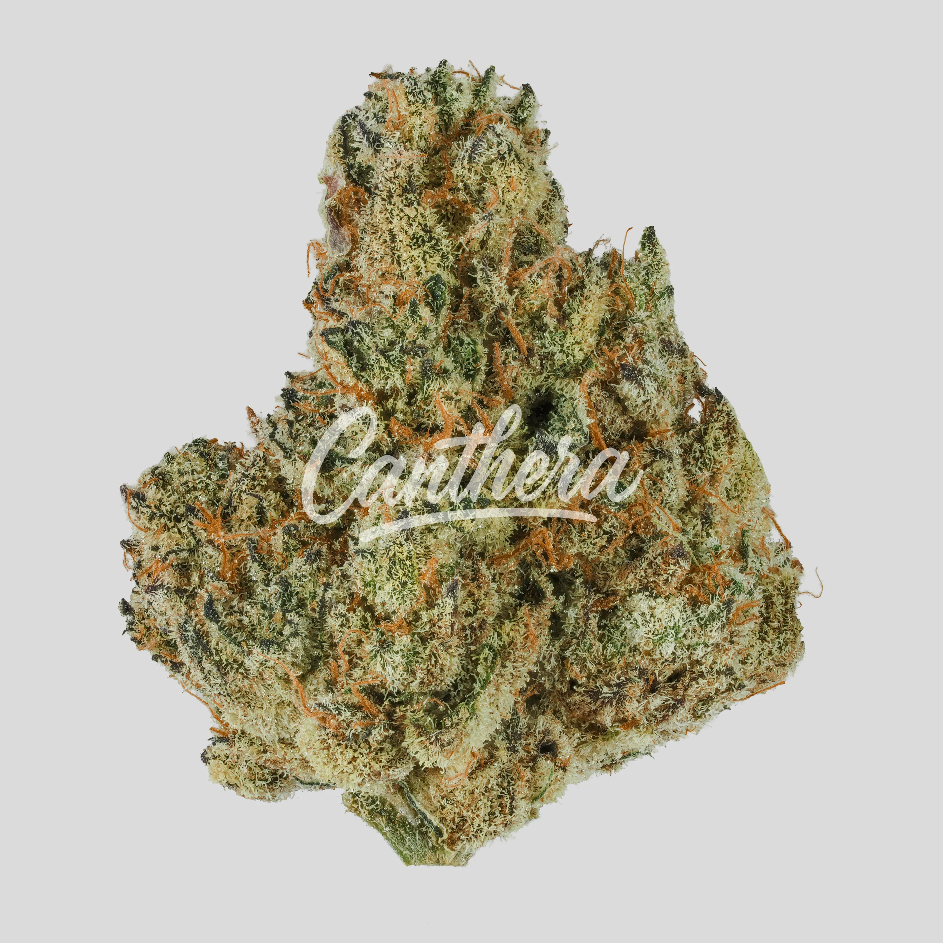 BOTANICS Purple Cream 26/1 - Purple Ice Water