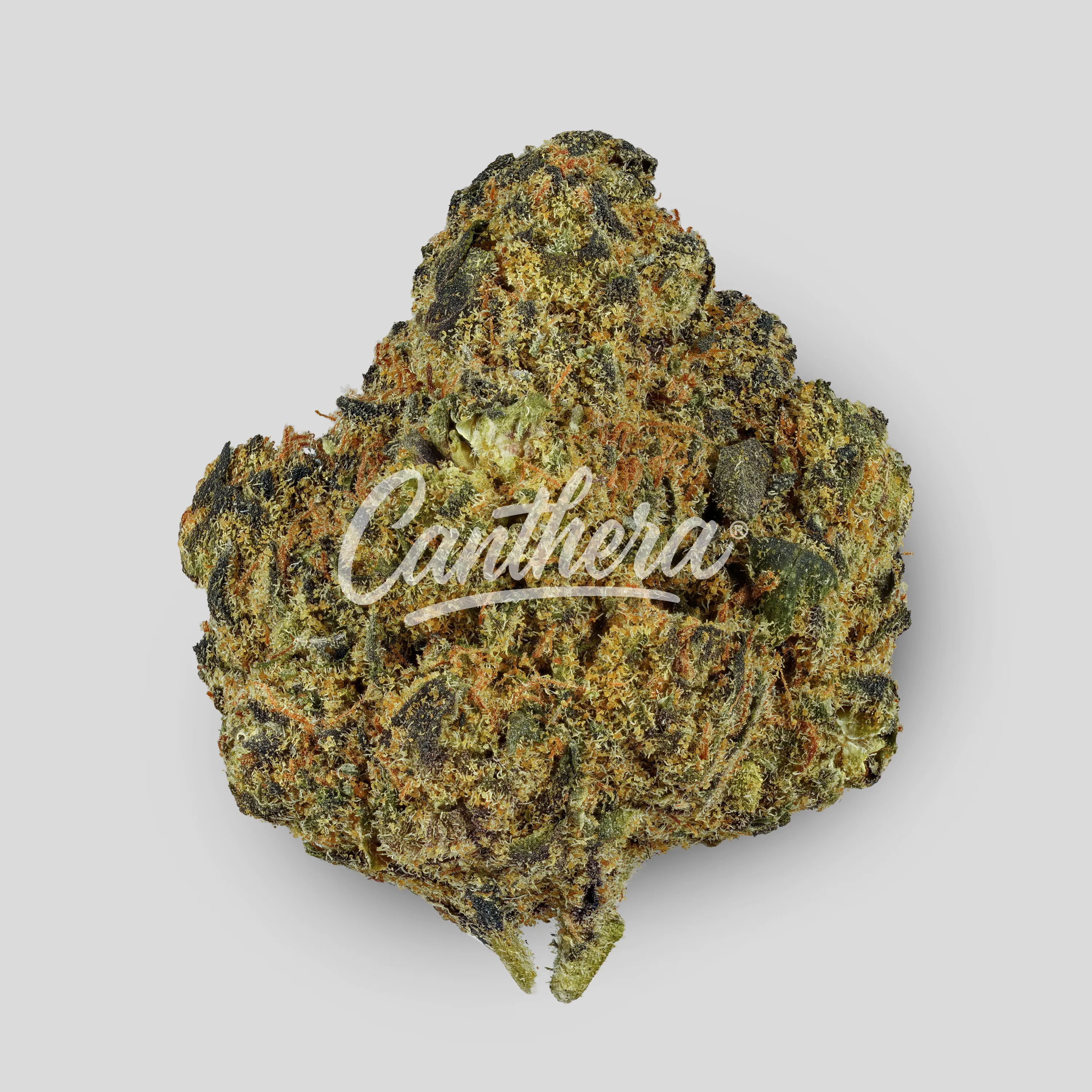 Care Cannabisflower CAL THC 20 - Candyland Care Cannabisflower CAL THC 20 - Candyland