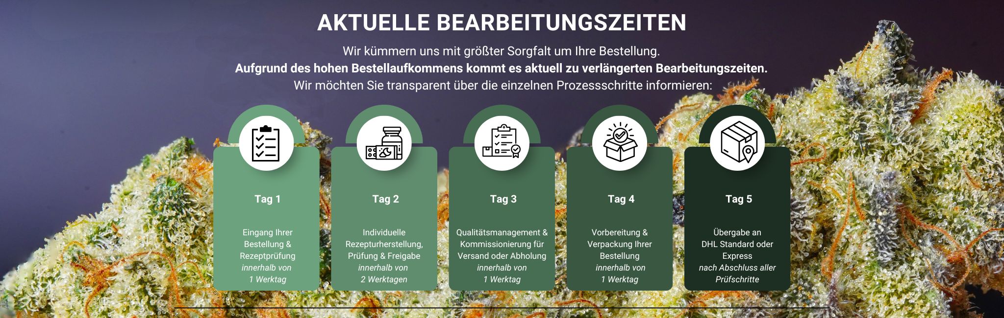 Canthera - Aktuelle Bearbeitungszeiten Canthera - Aktuelle Bearbeitungszeiten