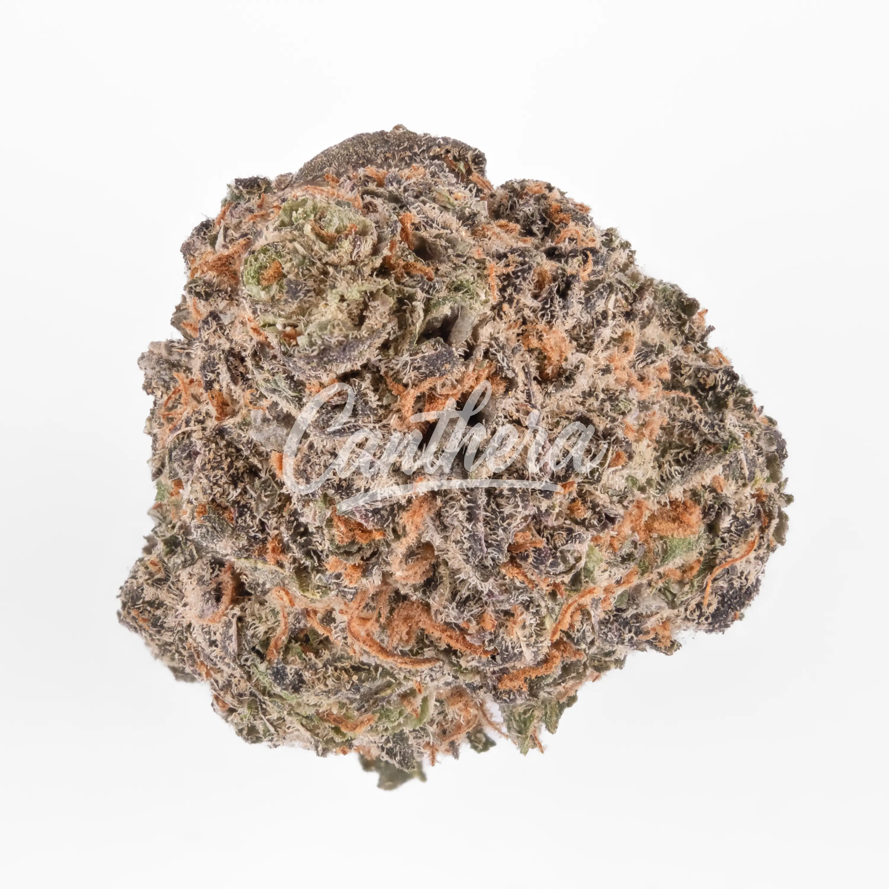 Cannamedical Sativa Vita - Lavender Clouds