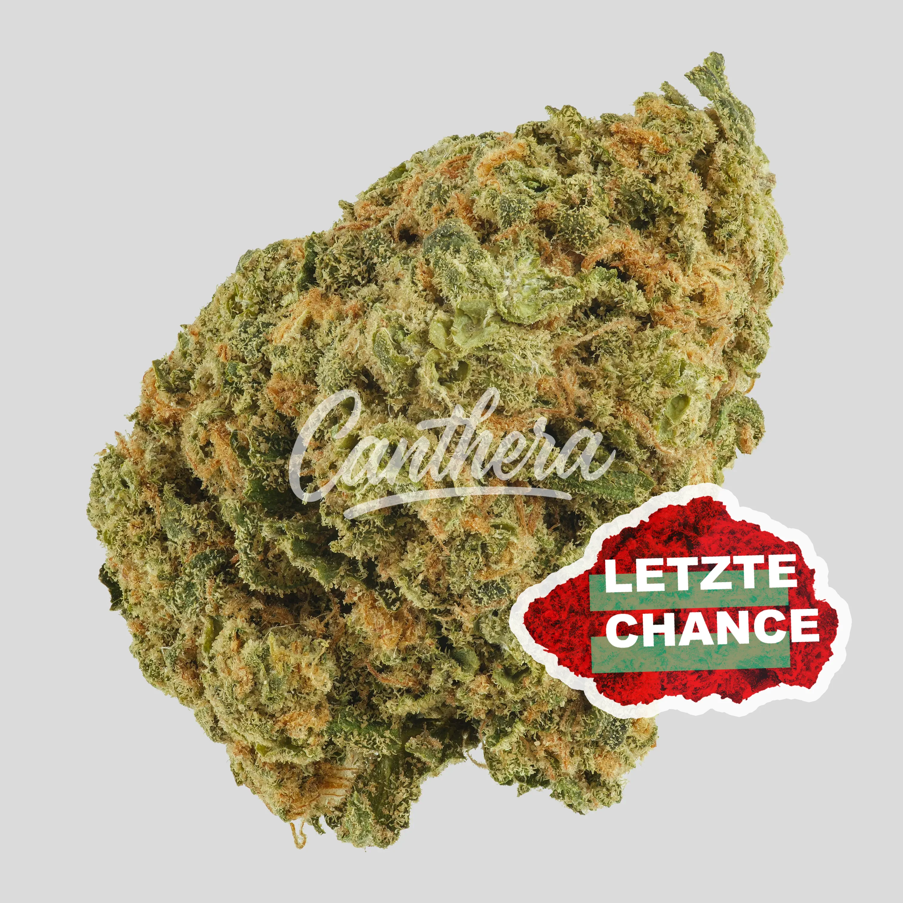 mediproCan LUNARIS 25/1 - Capri Haze