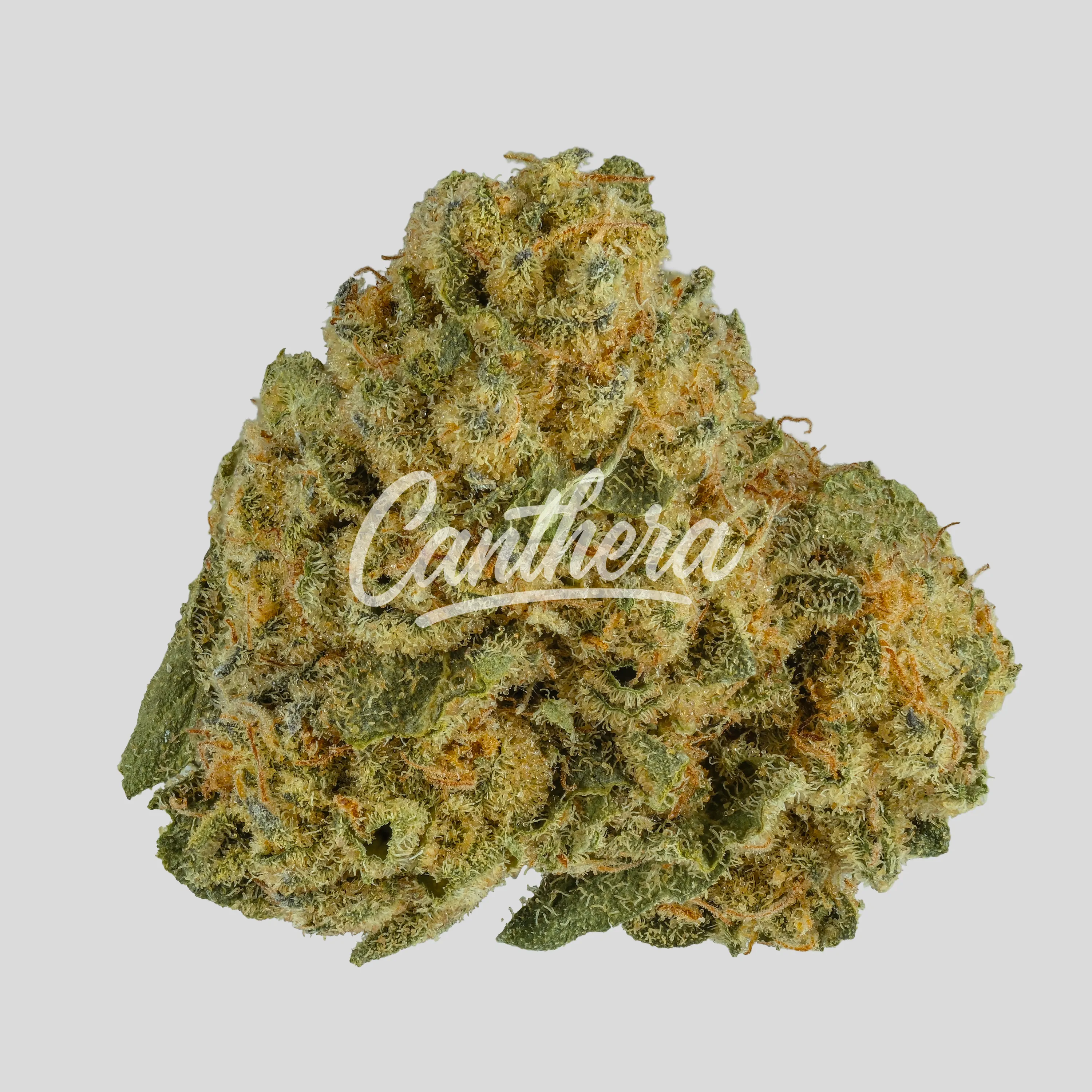 Barongo 30/1 Dynamo Kush Cake - LA Kush Cake