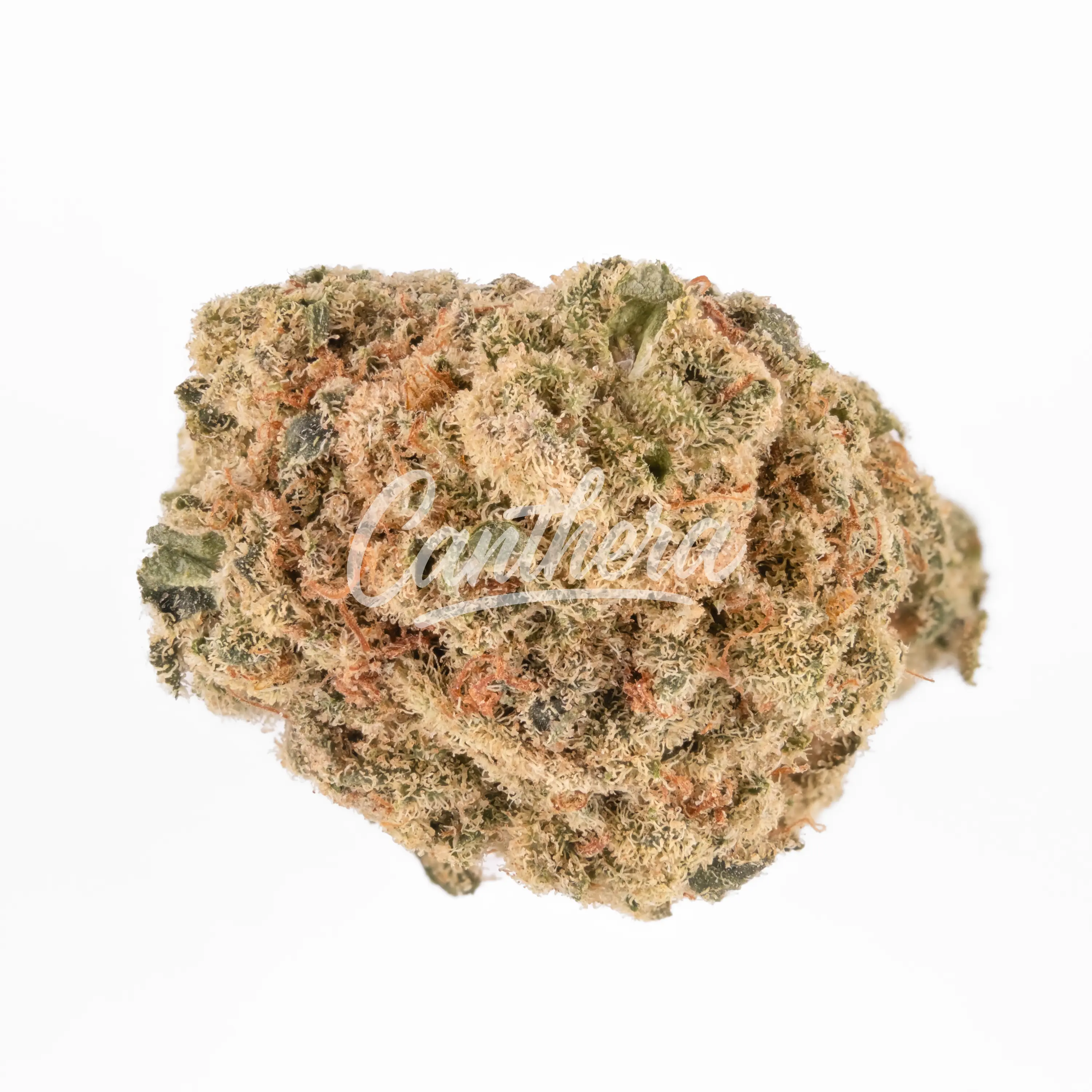 Cannamedical Indica Forte BC - Tangerine Boost Cannamedical Indica Forte BC - Tangerine Boost