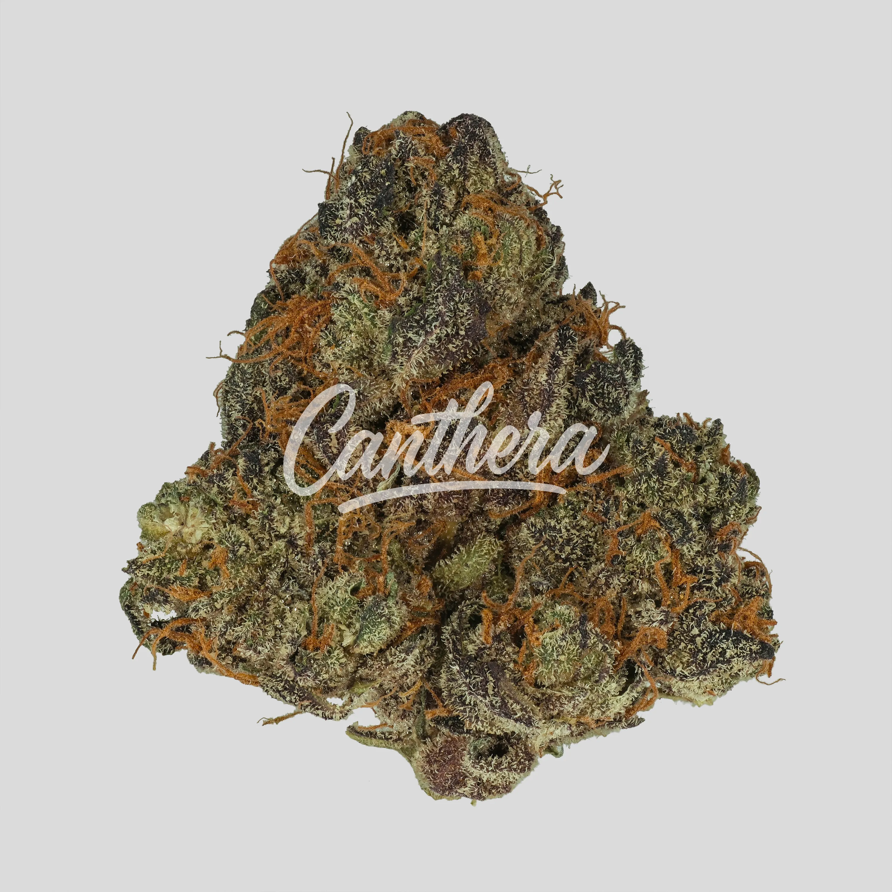 420 Compound 30/1 CA BBW - Bling Blaow 420 Compound 30/1 CA BBW - Bling Blaow