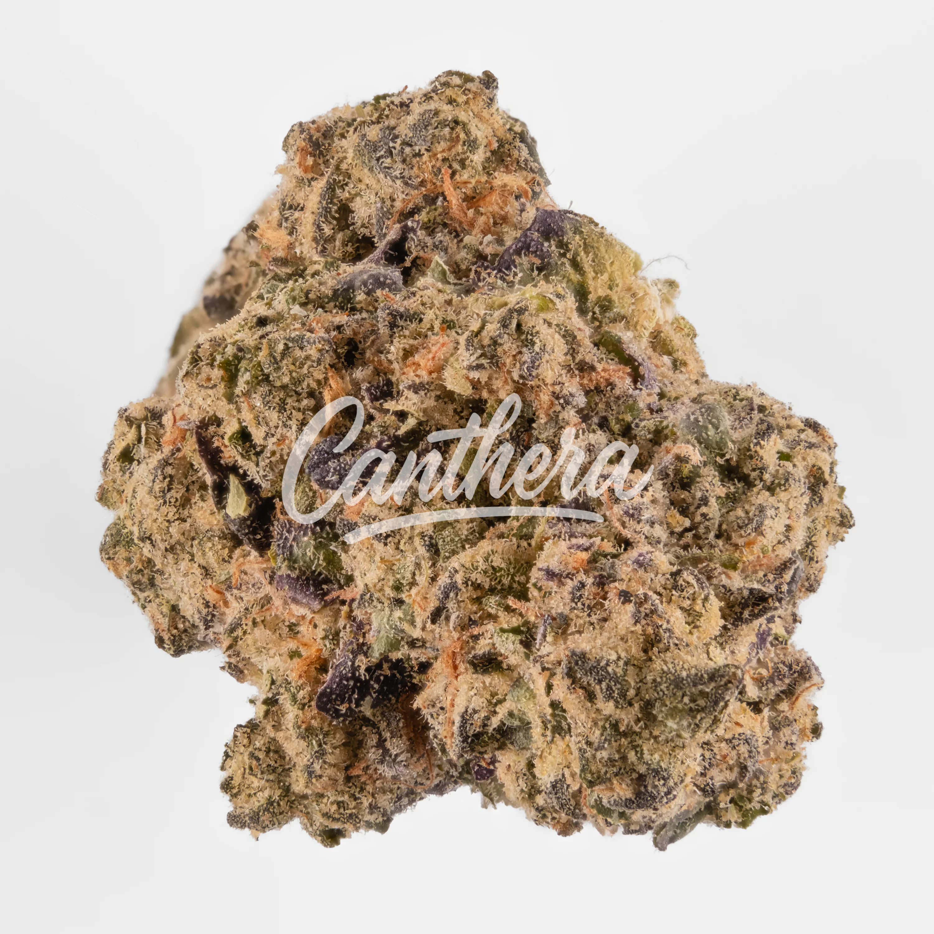 All Nations Pretty Smalls MR 21/1 Midnight Runtz All Nations Pretty Smalls MR 21/1 Midnight Runtz