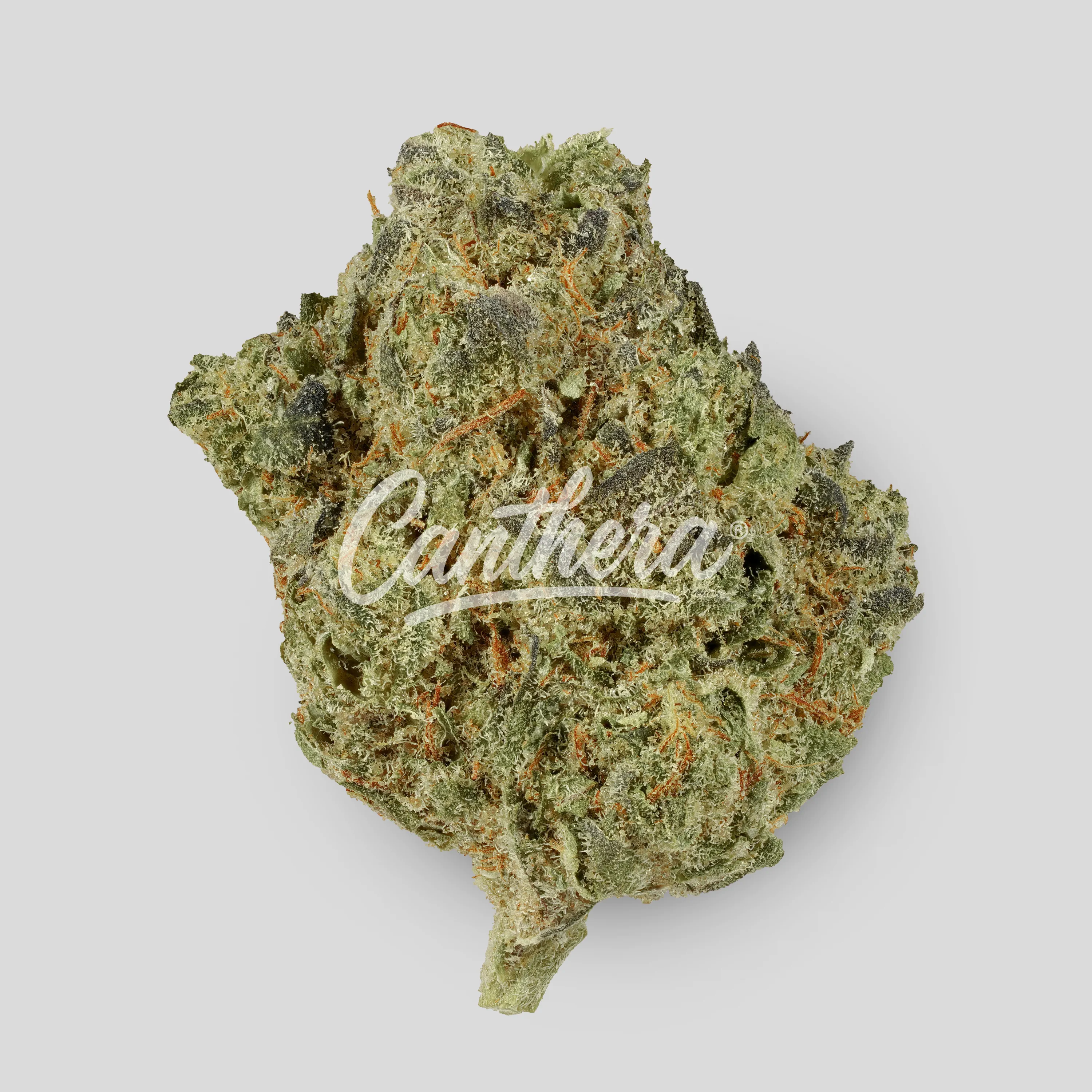 420 Evolution 27/1 CA SSK Strawberry Skrilla
