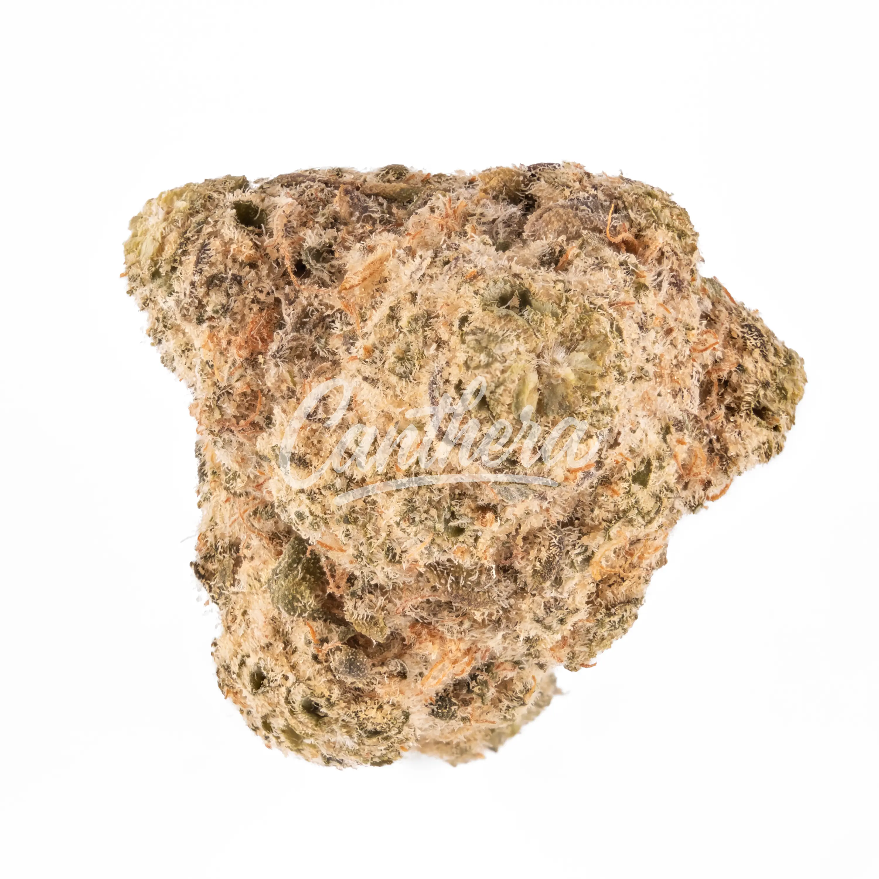 Avaay 29/1 SCP - Sour Cherry Punch Avaay 29/1 SCP - Sour Cherry Punch