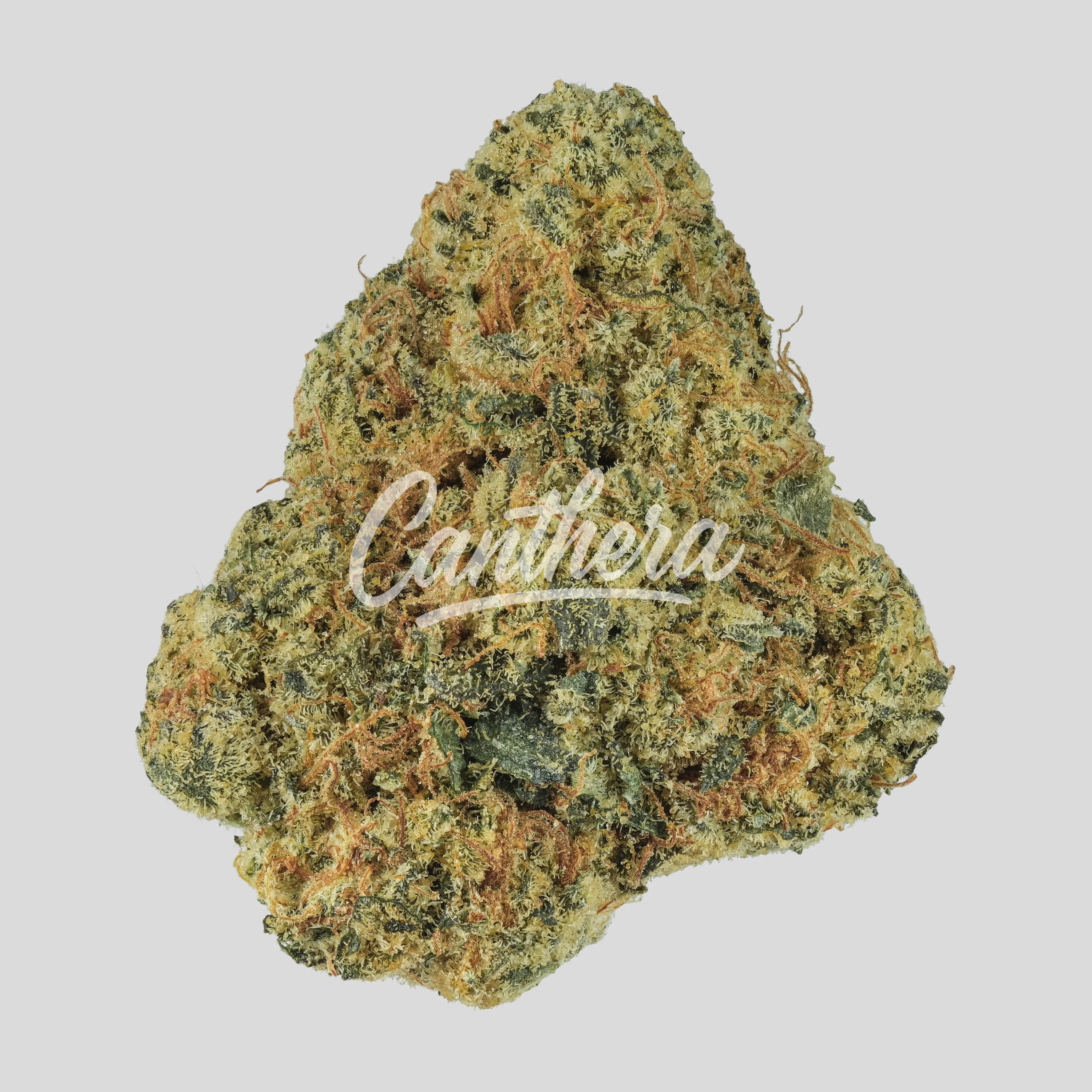 Eufloria 30/1 GSZ - Garlic Skittlez