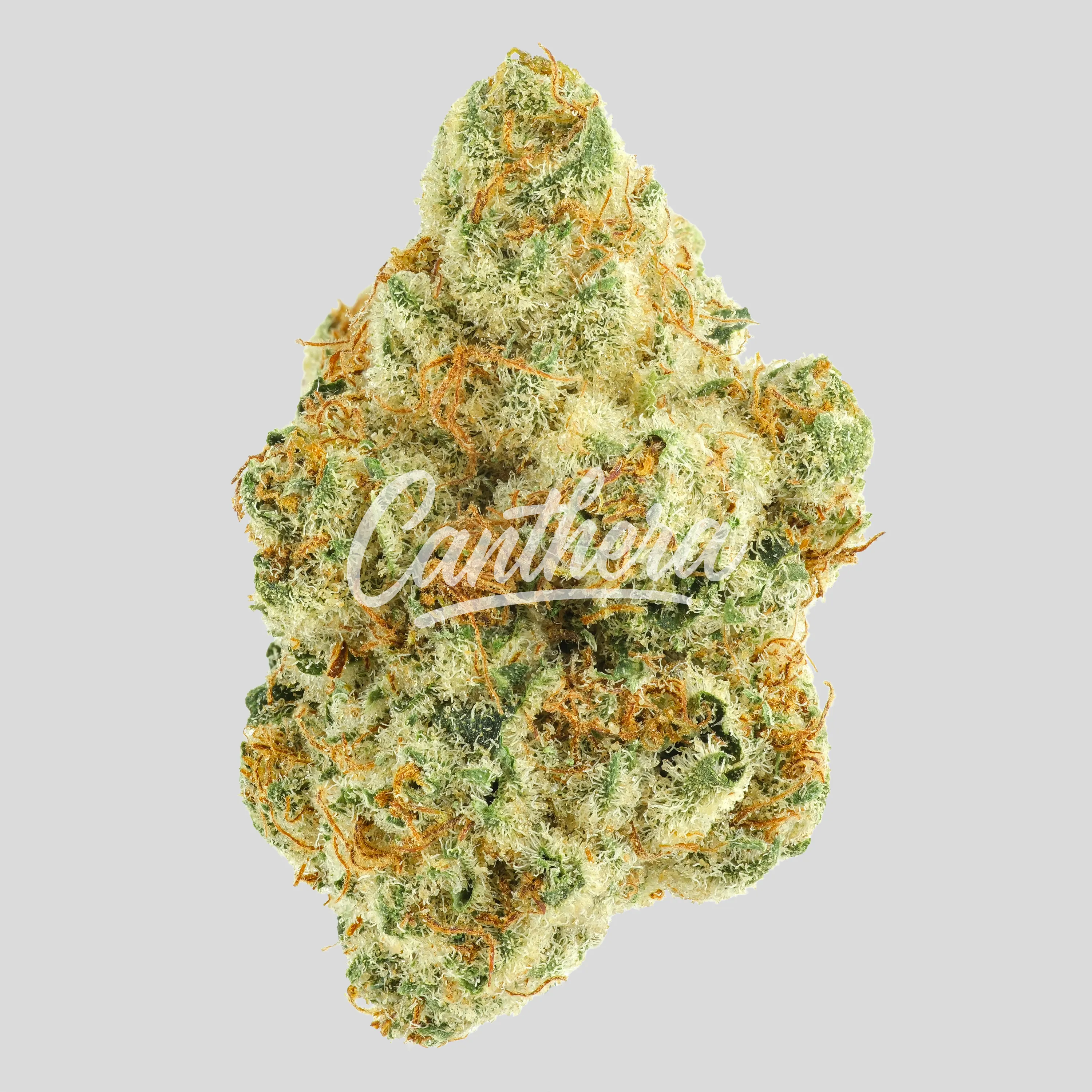 Remexian 20/1 MHI MAD - Magic Dream