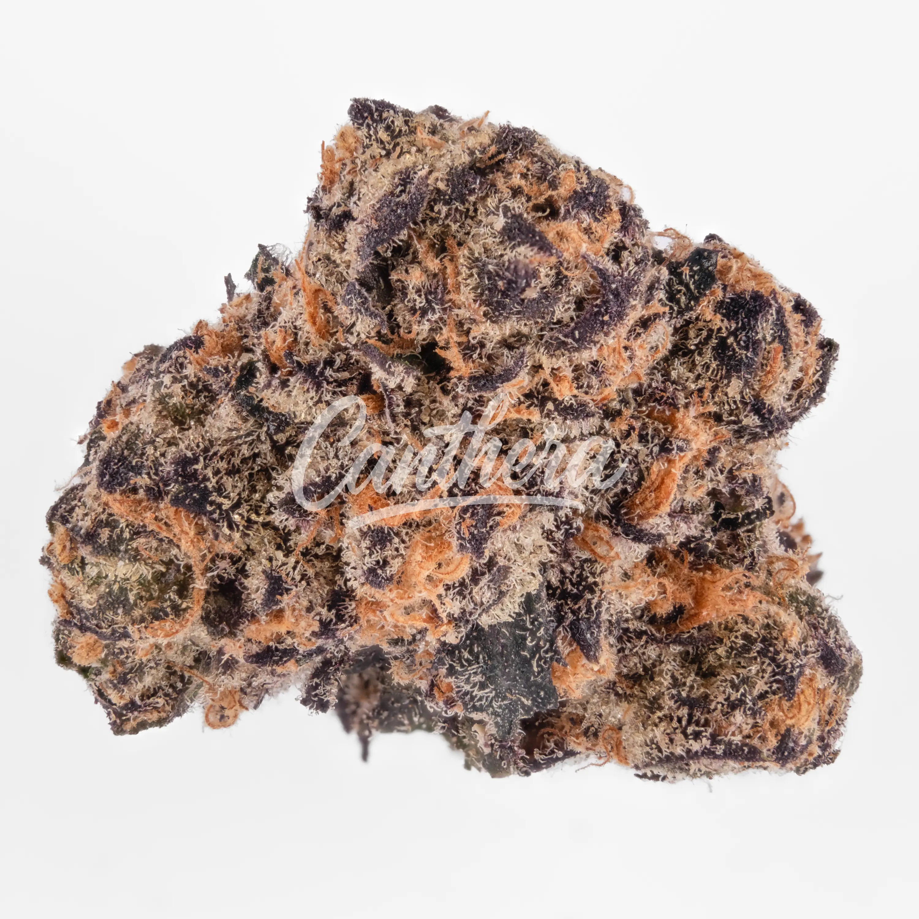 420 Compound 22/1 CA MWZ - Mellowz