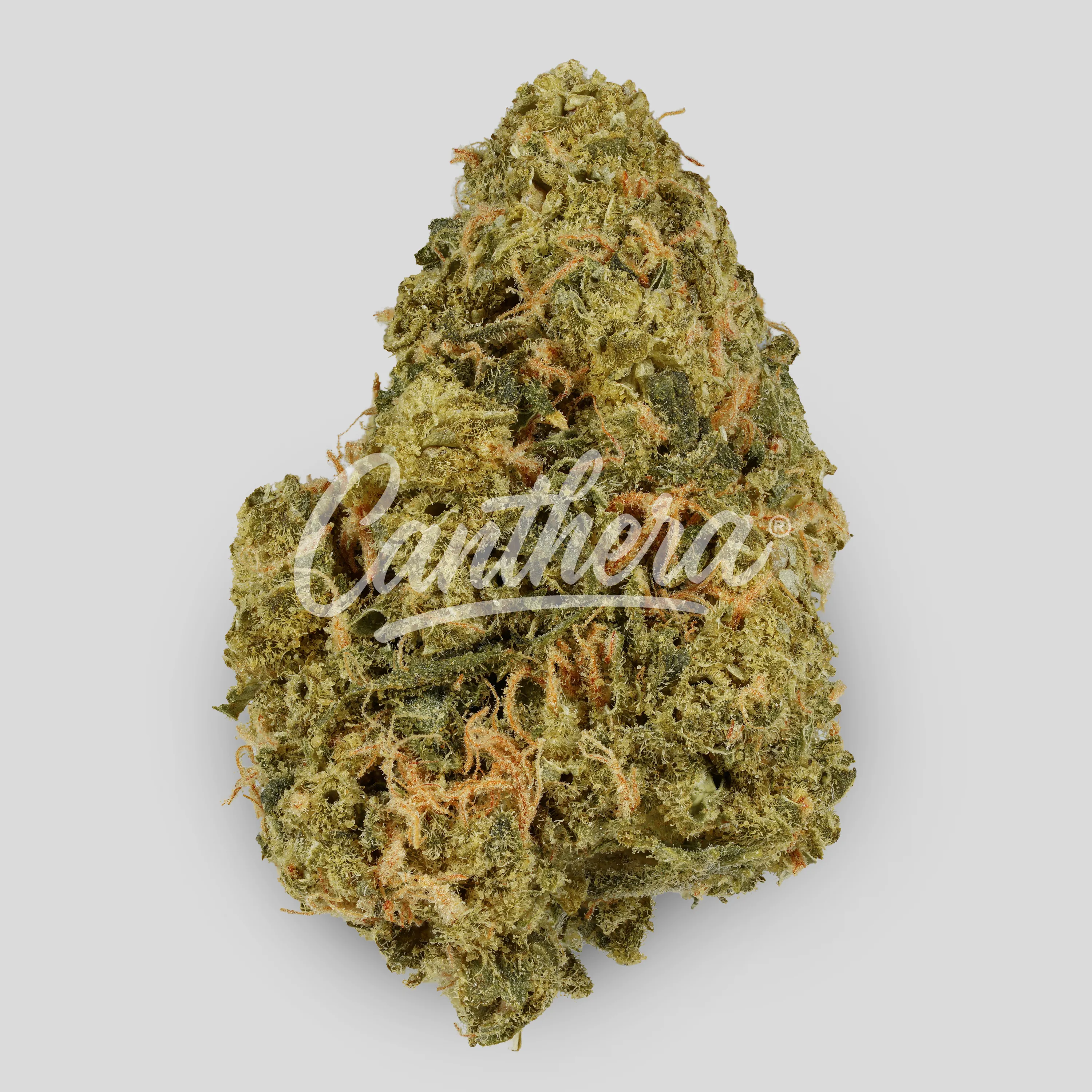 Slouu 27/1 SCH CA Sour Crush Haze - Sour Crash Haze